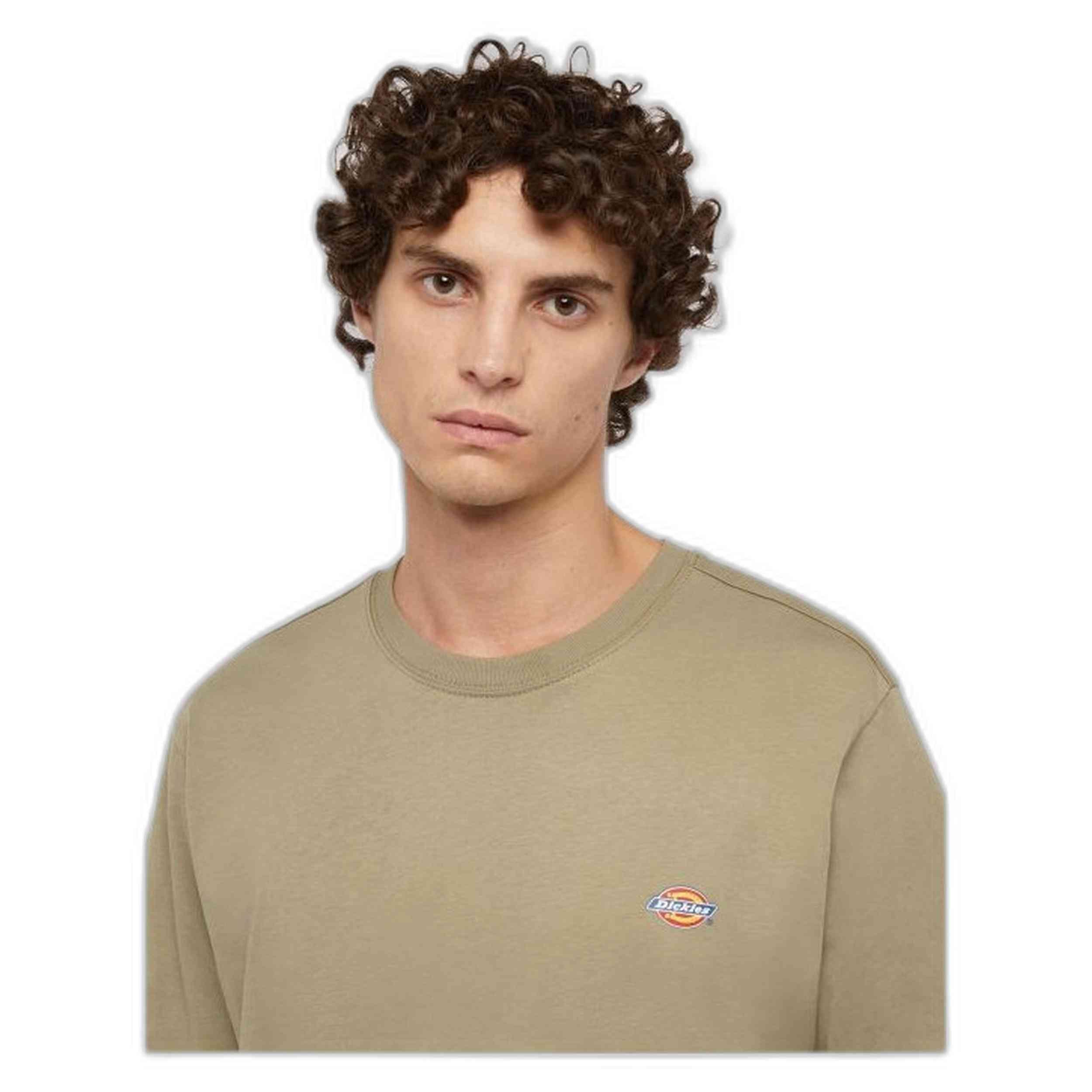 T-shirt Dickies modèle DK0A4XDB0IP1 pour homme 3/5