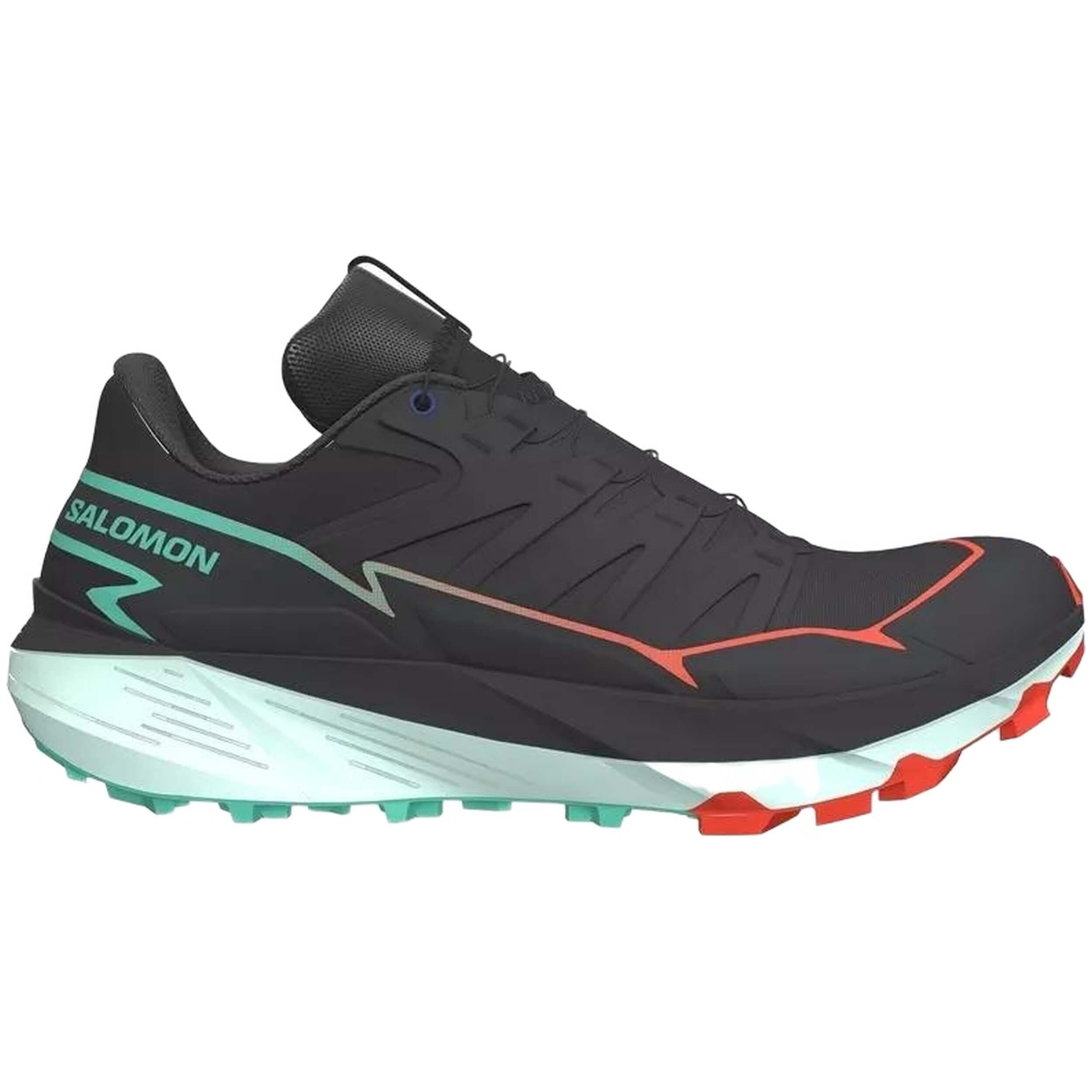 SALOMON picture