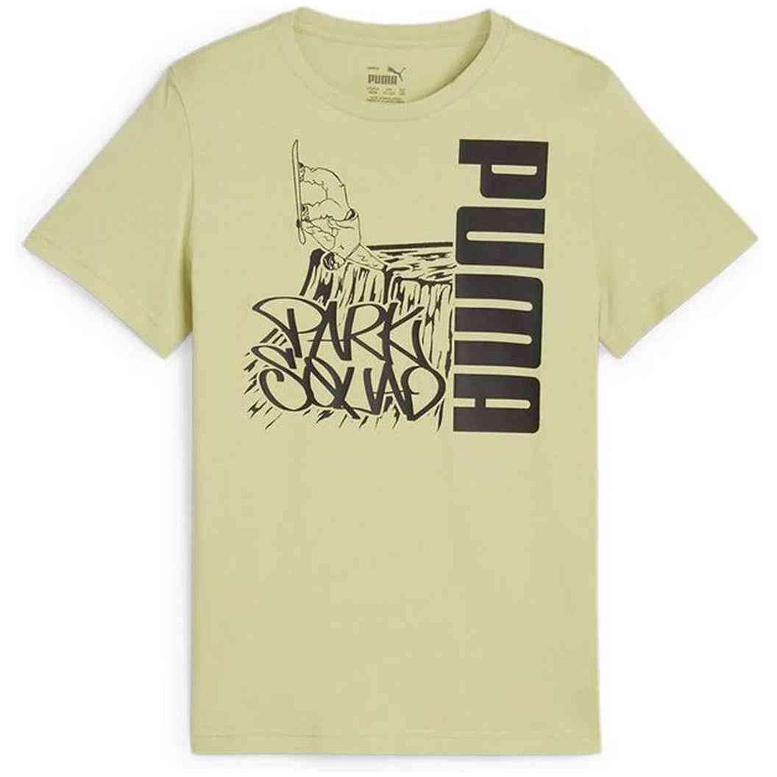 PUMA picture