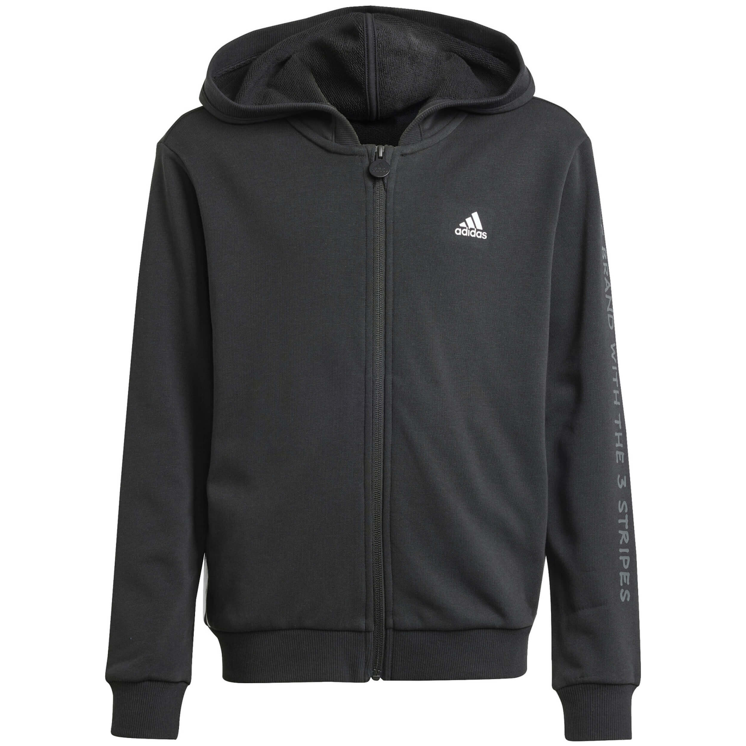 Sudadera con capucha Adidas modelo IV9452 para niños 2/4