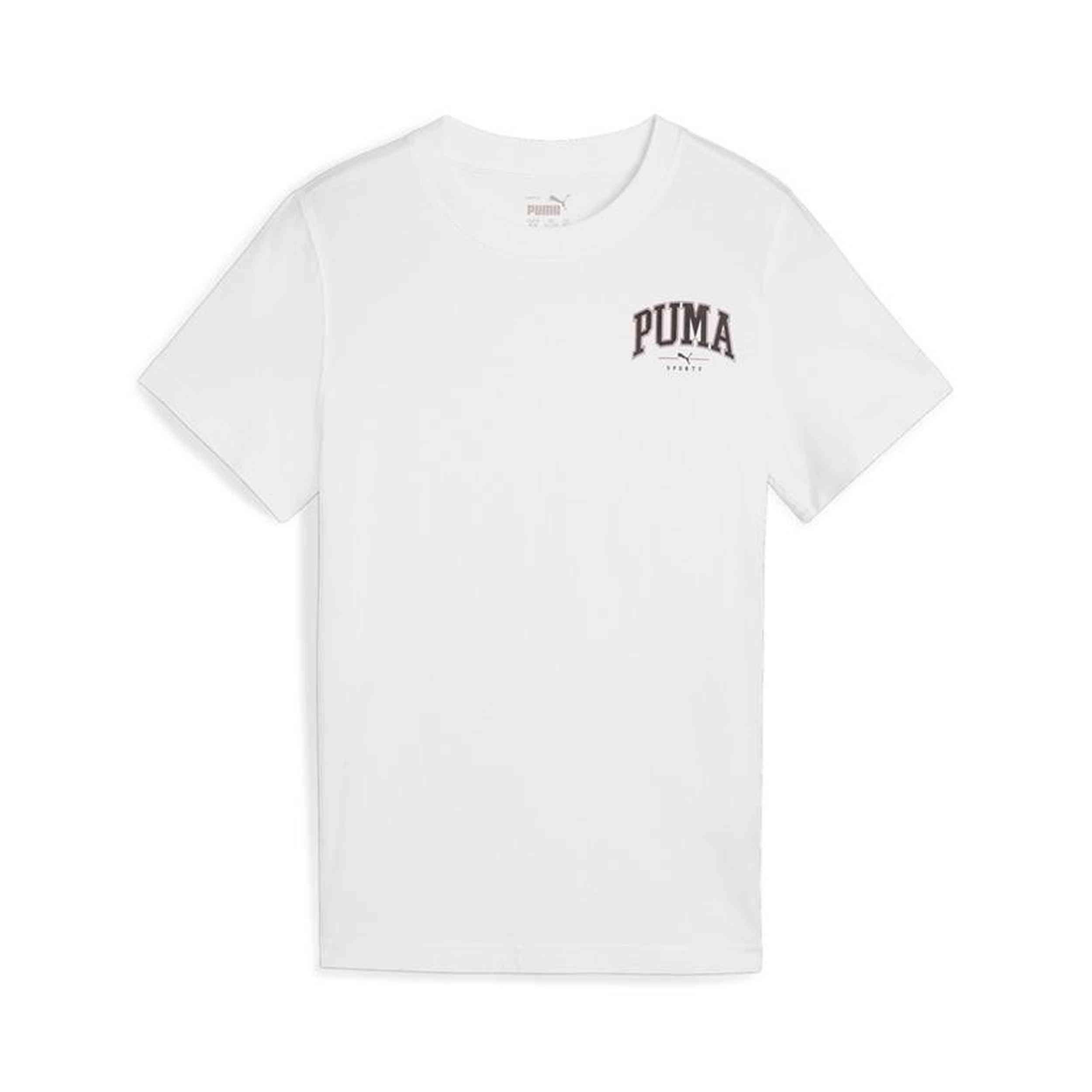 PUMA picture