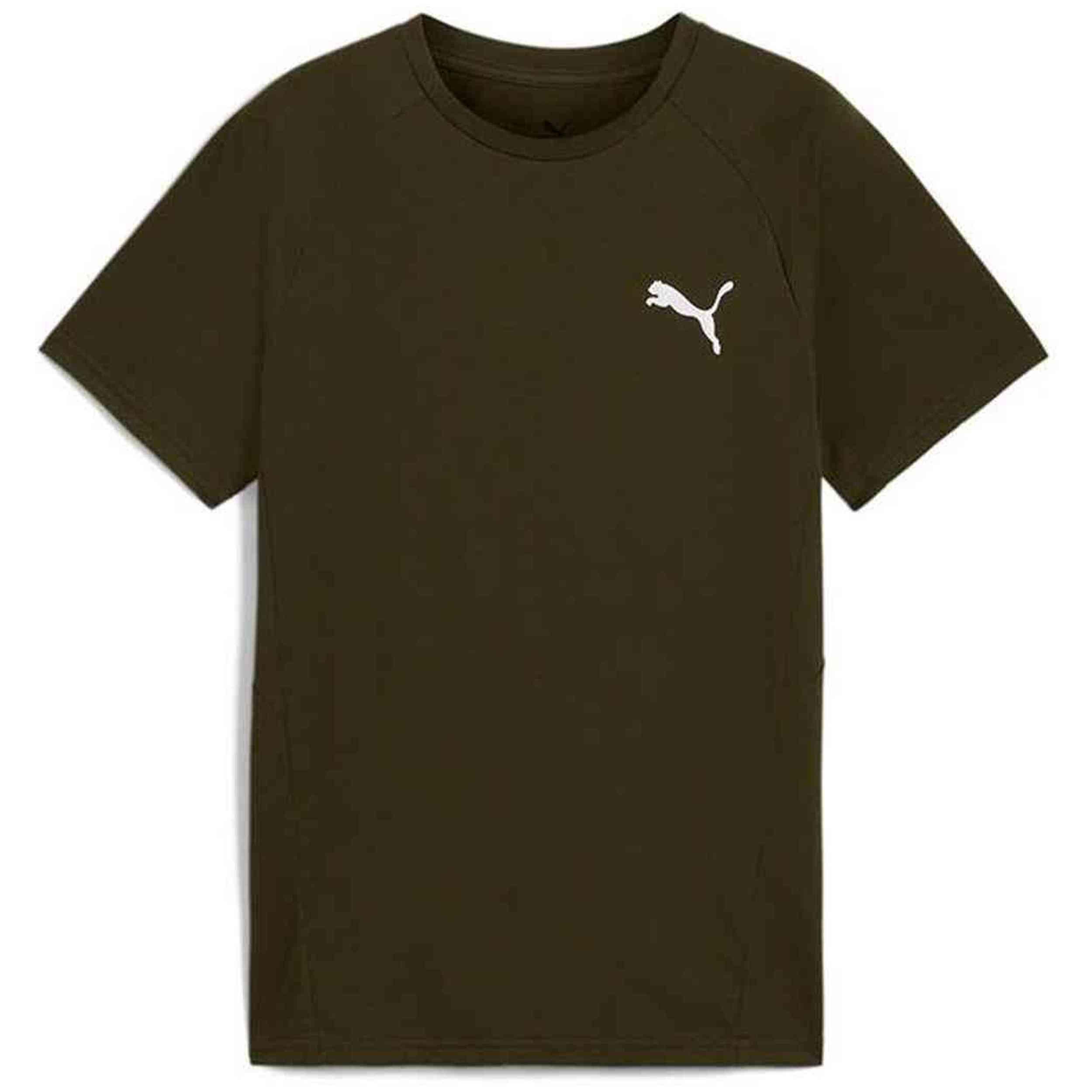 PUMA picture