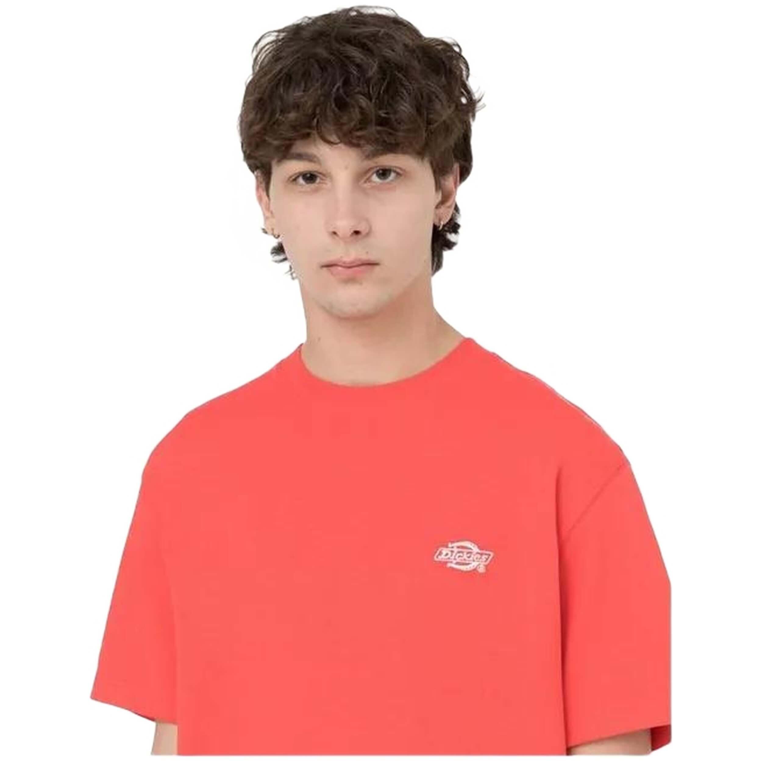 Camiseta de manga corta Dickies para hombre 3/5