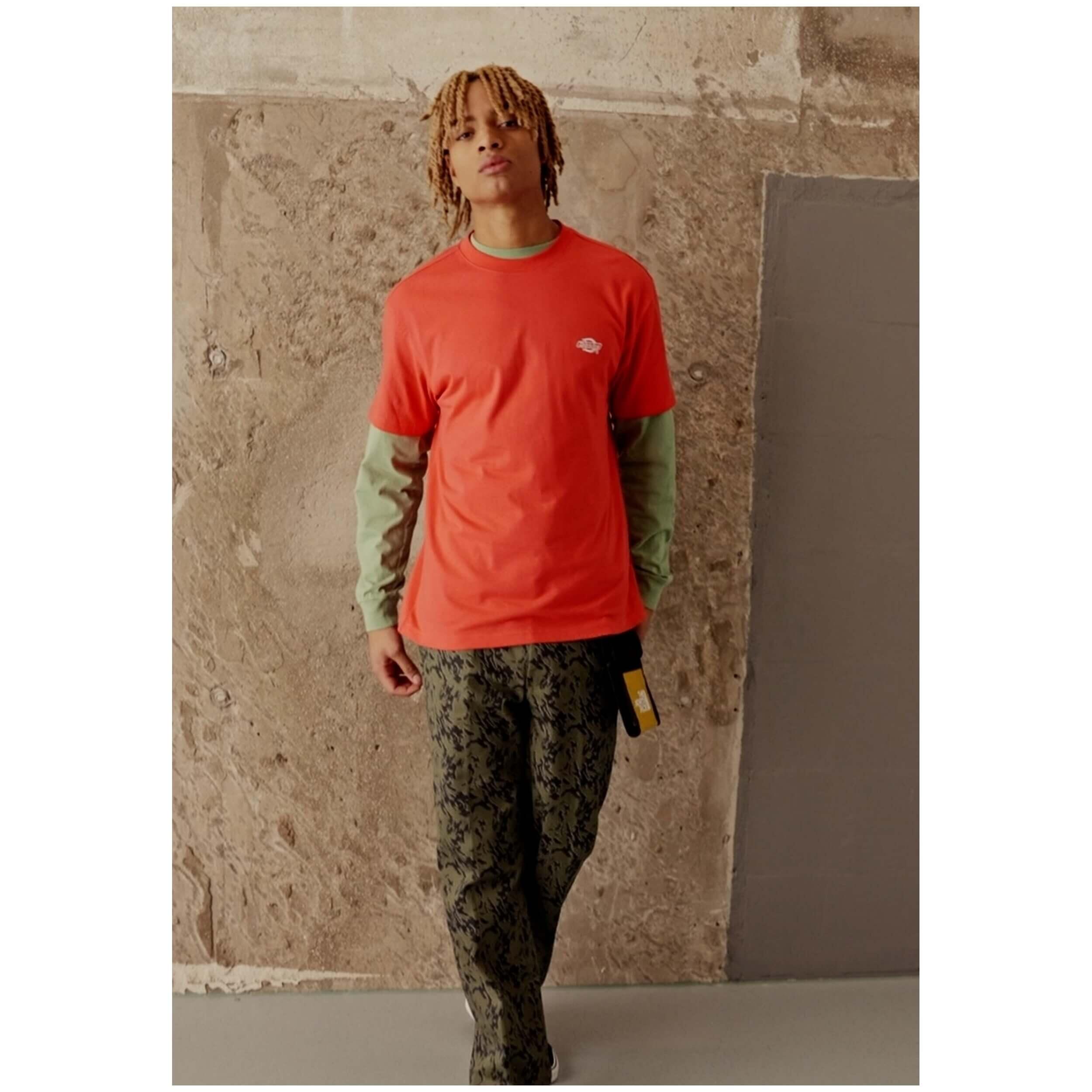 Camiseta de manga corta Dickies para hombre 4/5