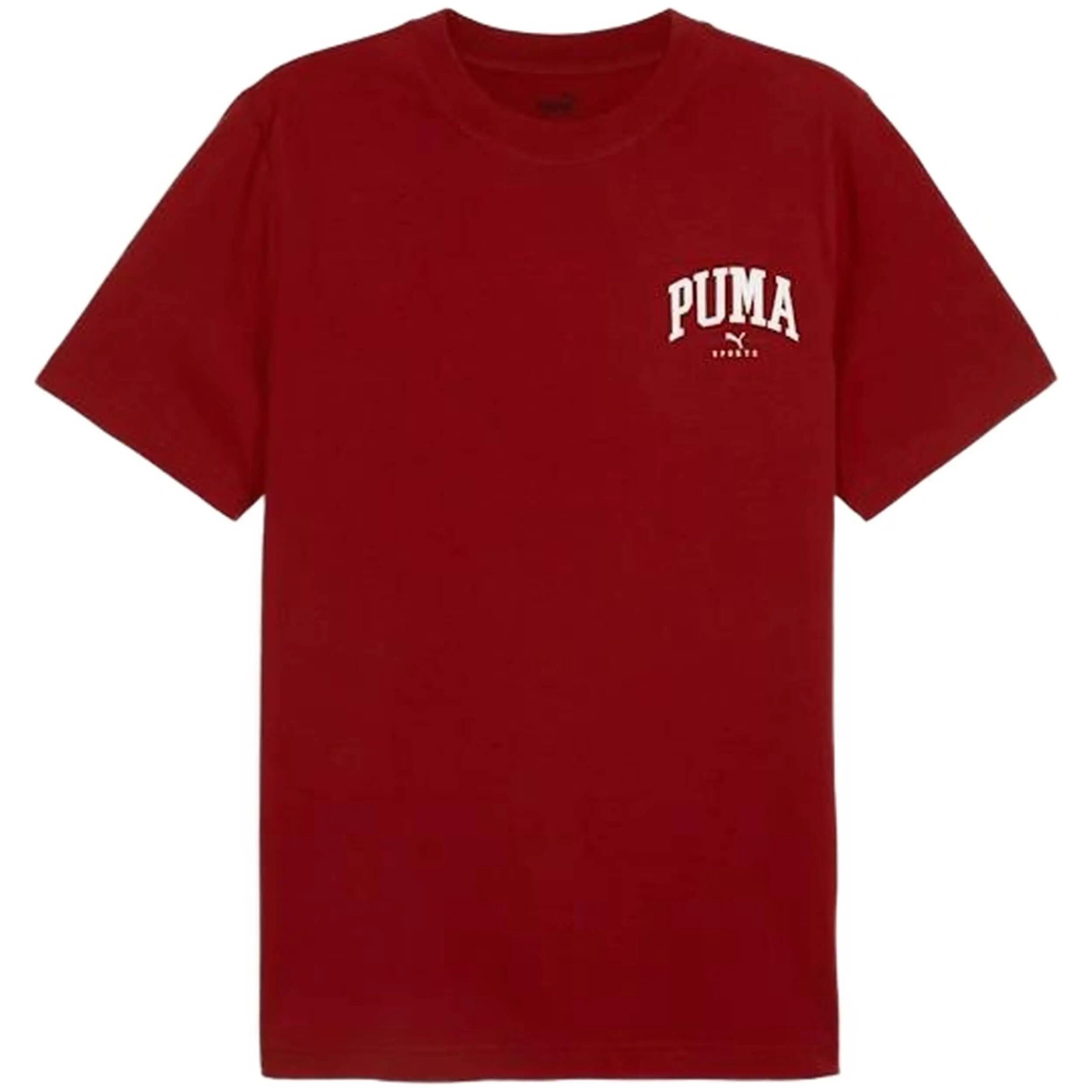 PUMA picture