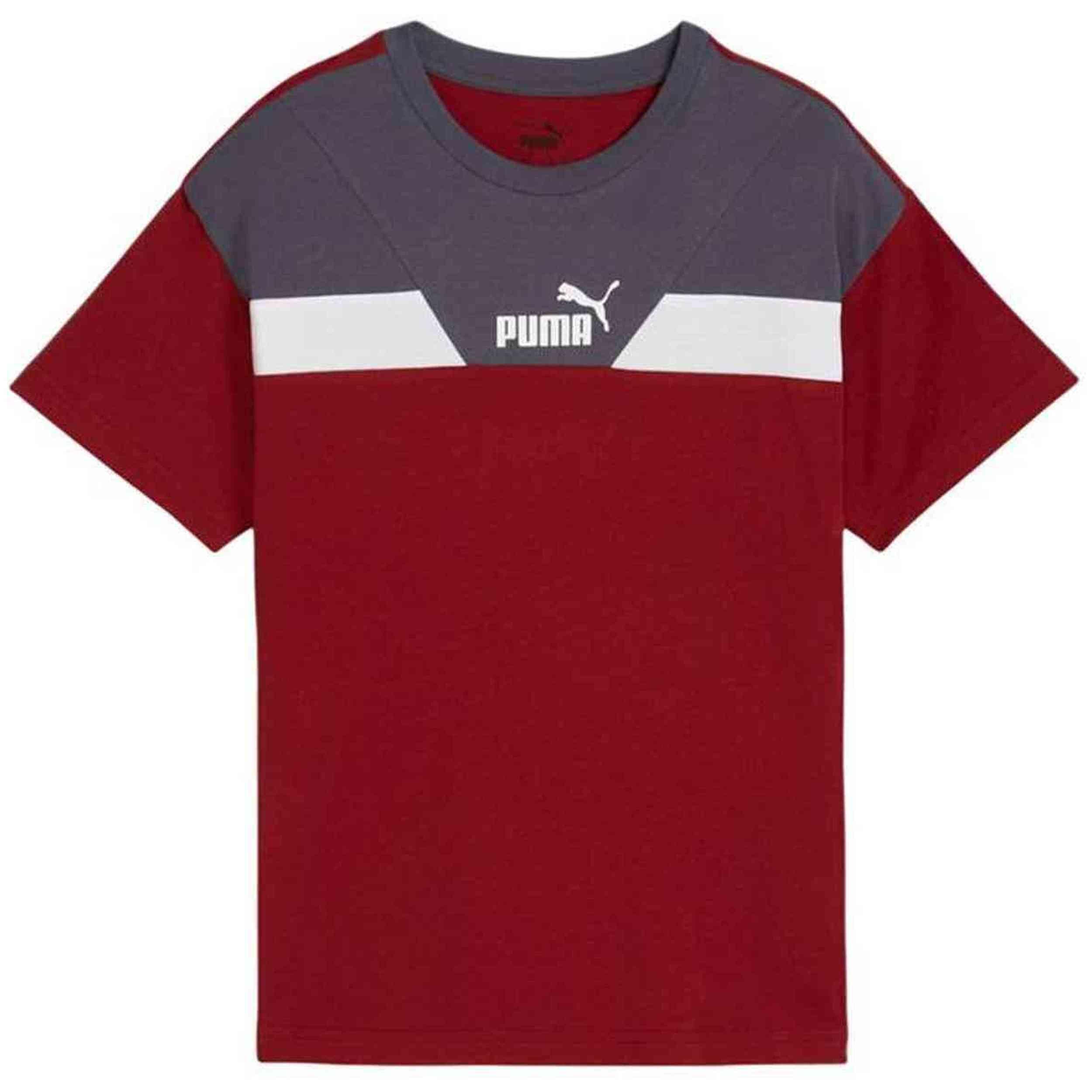 PUMA picture