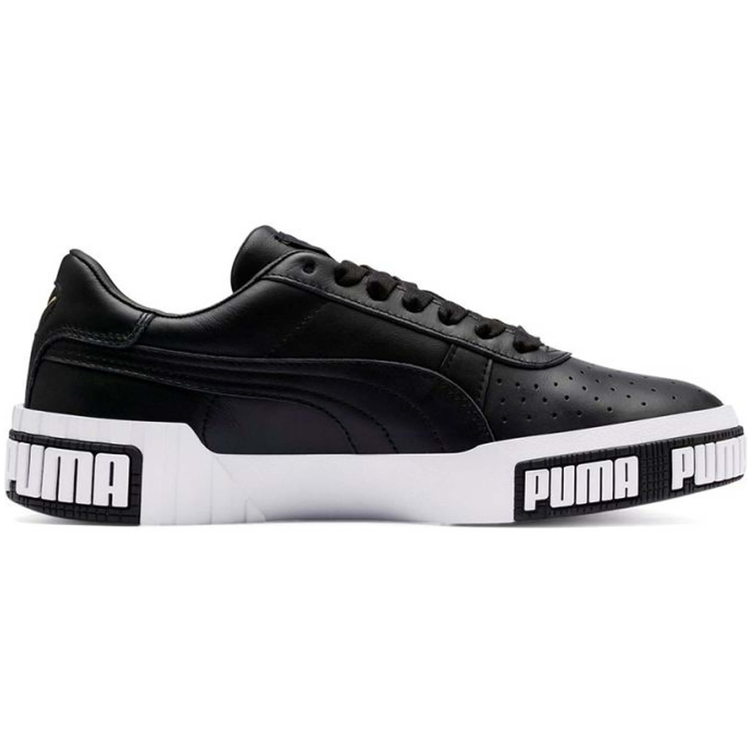 PUMA picture