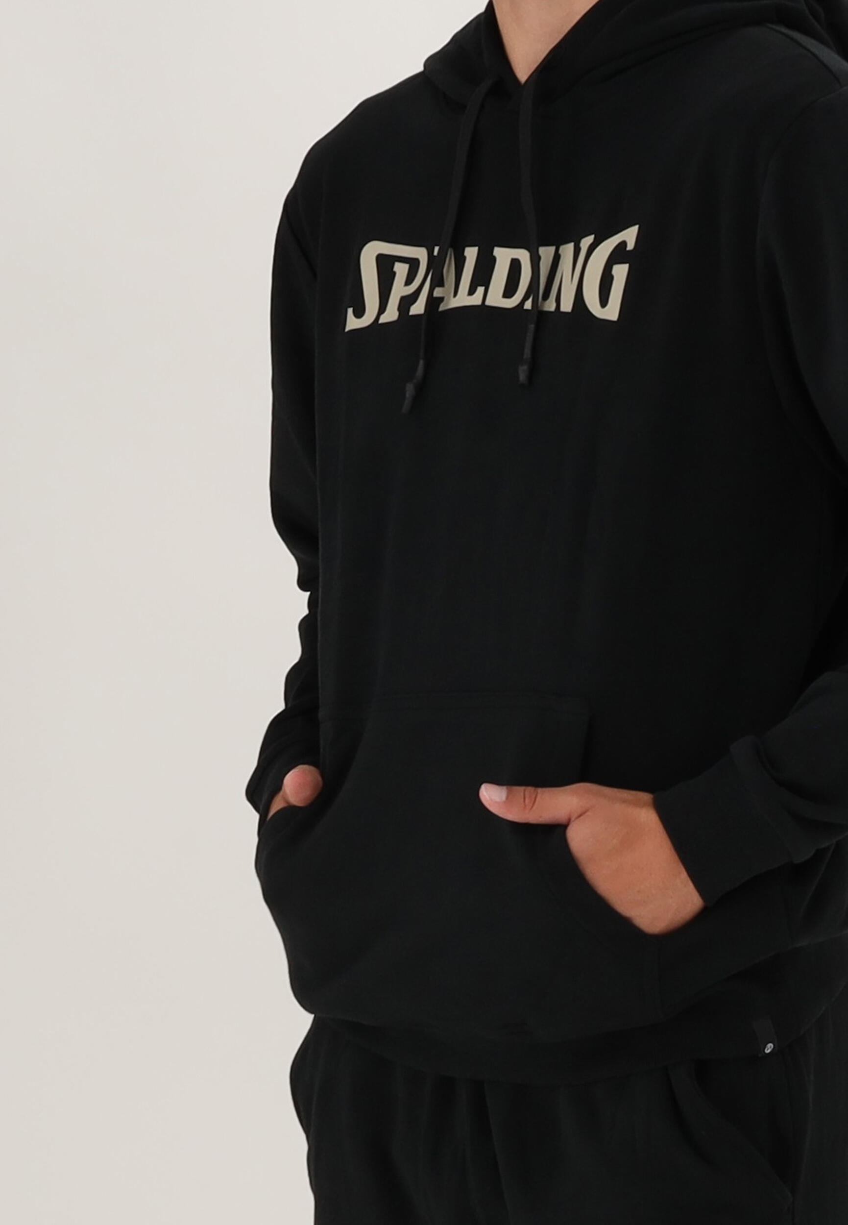 HOODIE HOMME DE BASKET black-beige Spalding 5/5