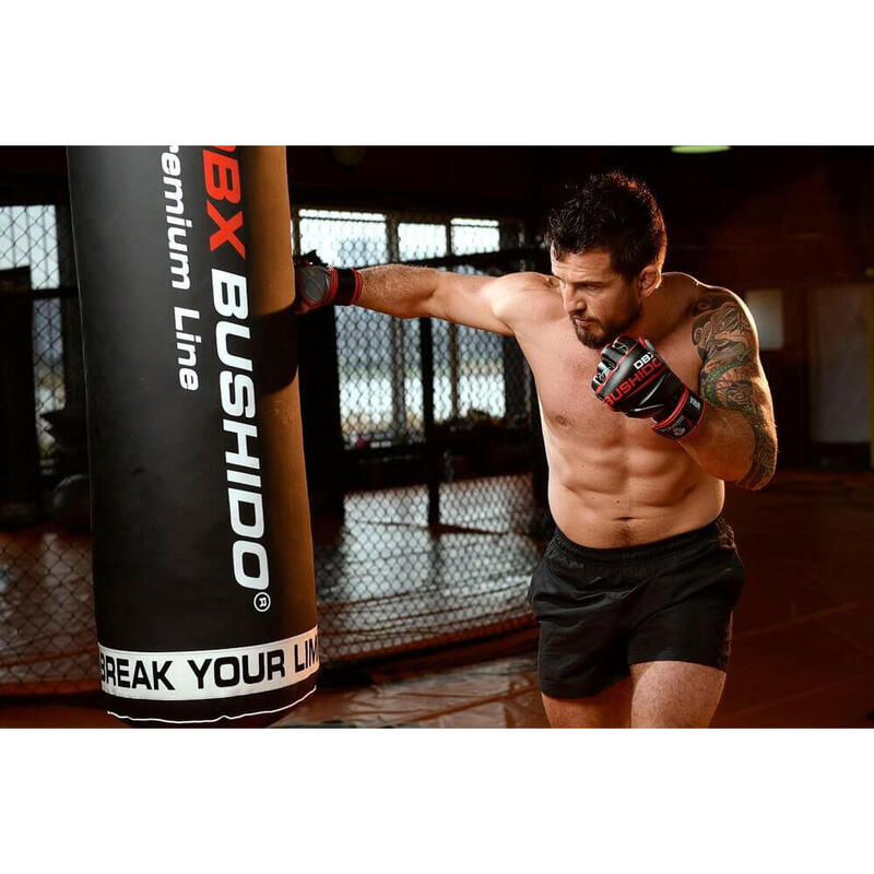 MMA rukavice DBX BUSHIDO E1V6 L