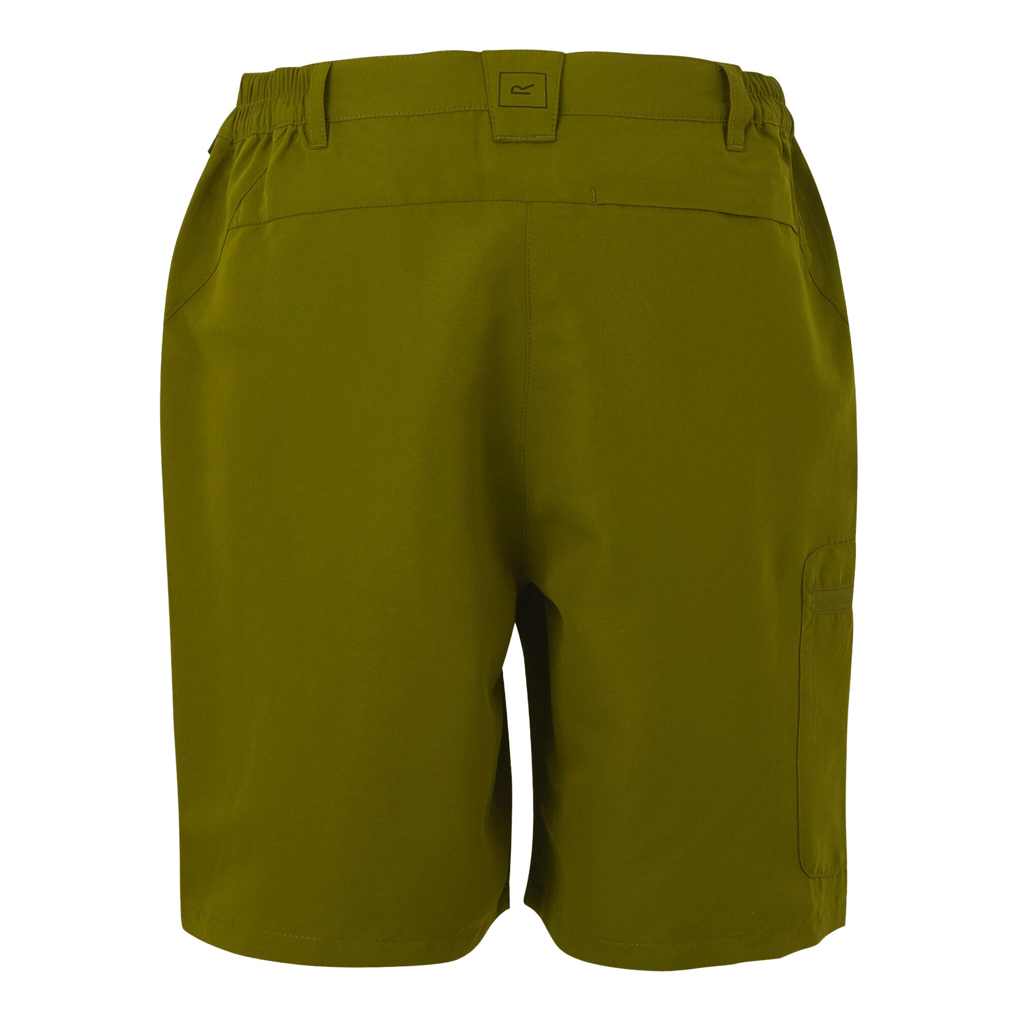 Womens/Ladies Chaska III Walking Shorts (Nephrite Green) 2/5