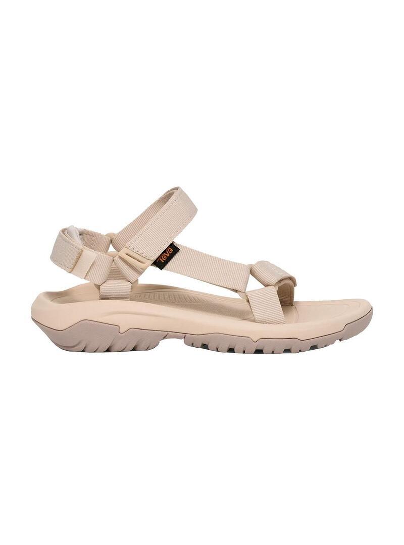TEVA picture