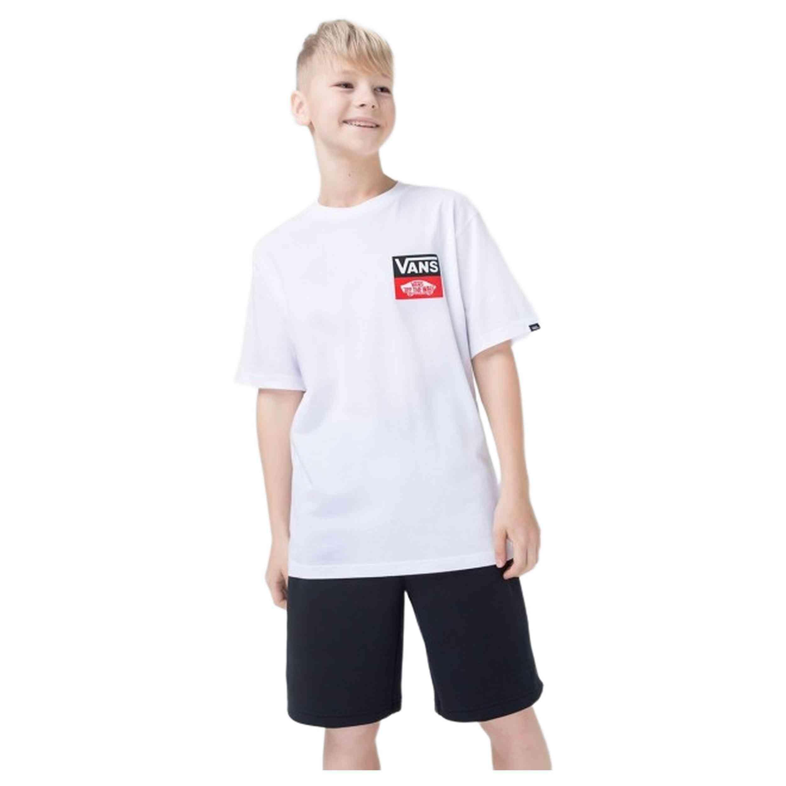 VANS picture