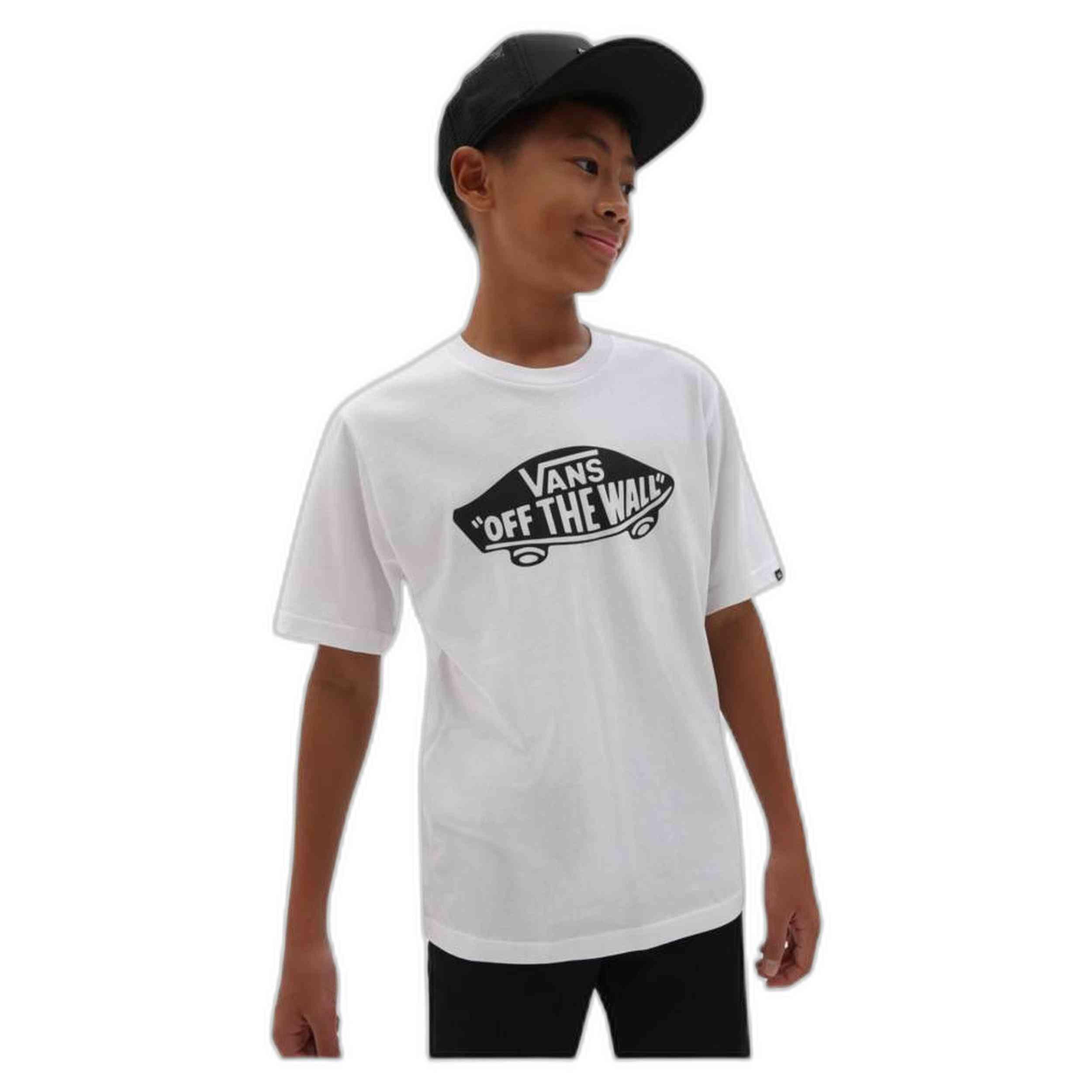 VANS picture