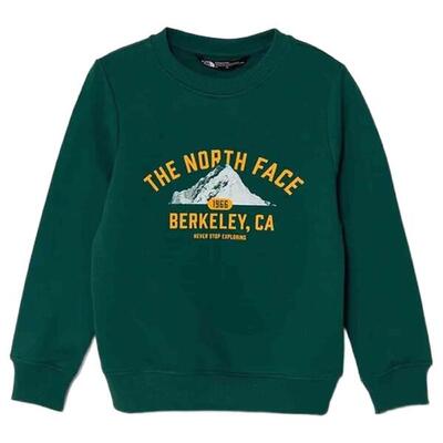 Sweater the north face model nf0a89h8nl11 voor unisex