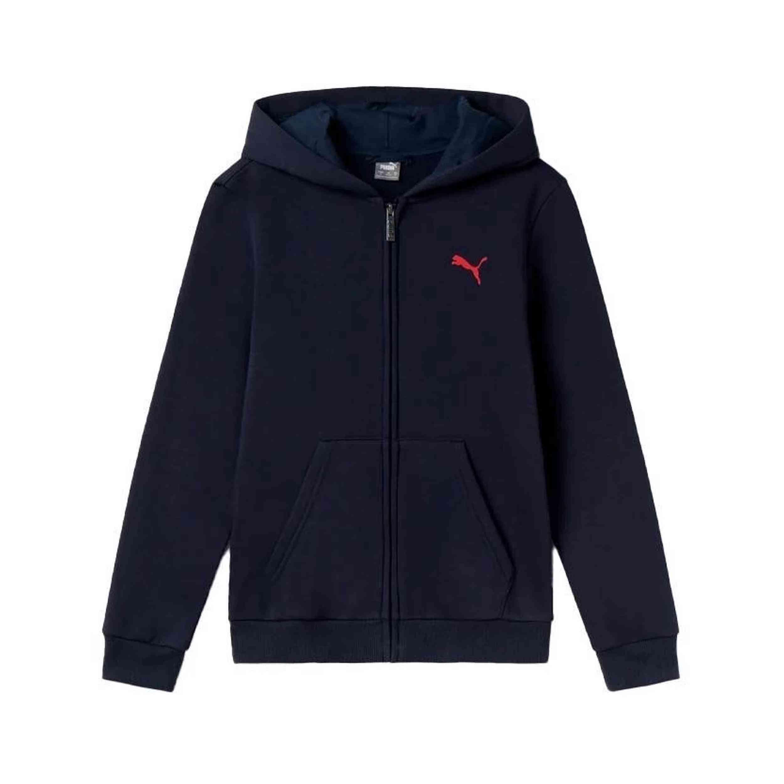 PUMA picture