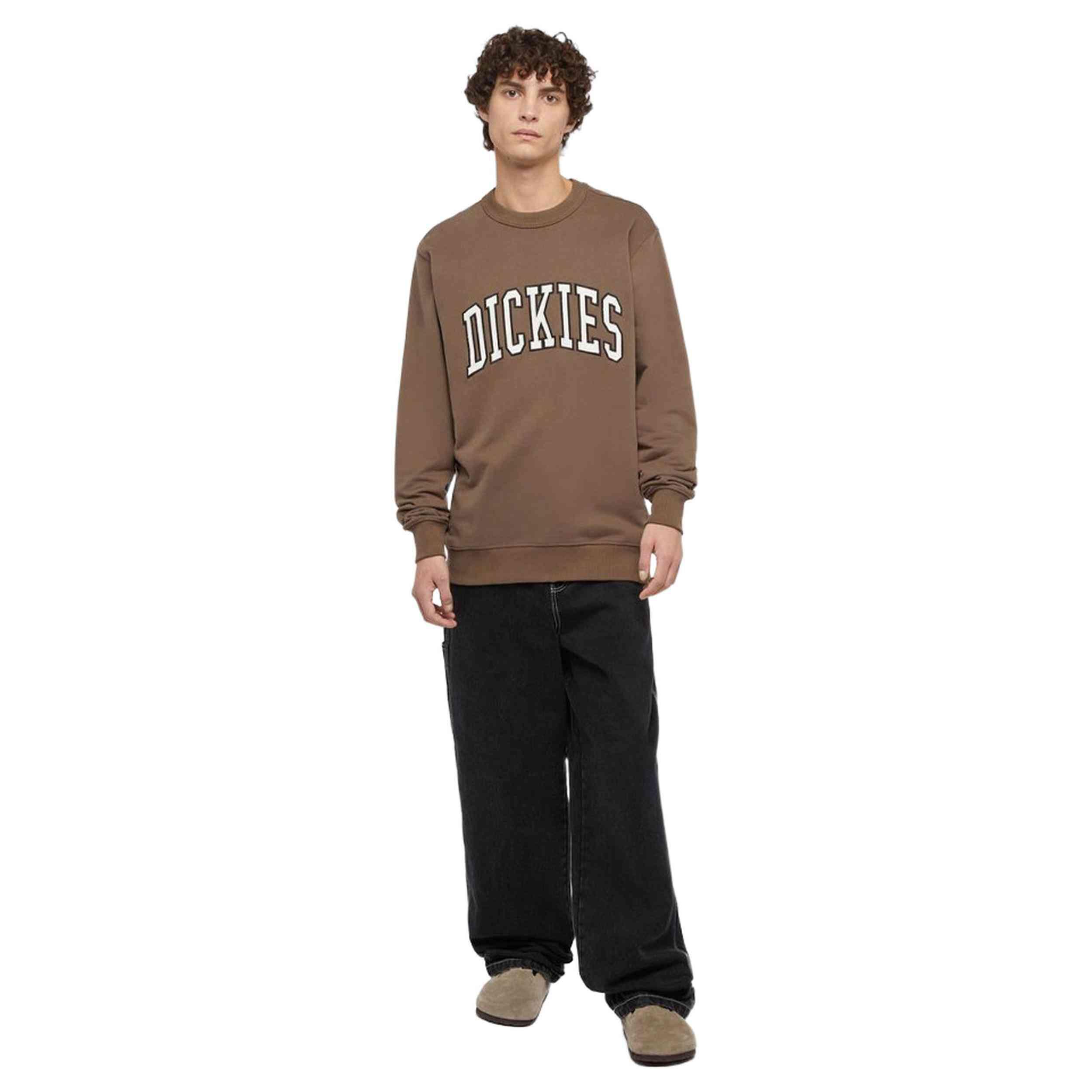 Sweat Dickies modèle DK0A4XABJ961 pour homme 3/4