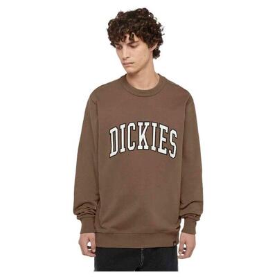 Sweater dickies model dk0a4xabj961 voor mannen