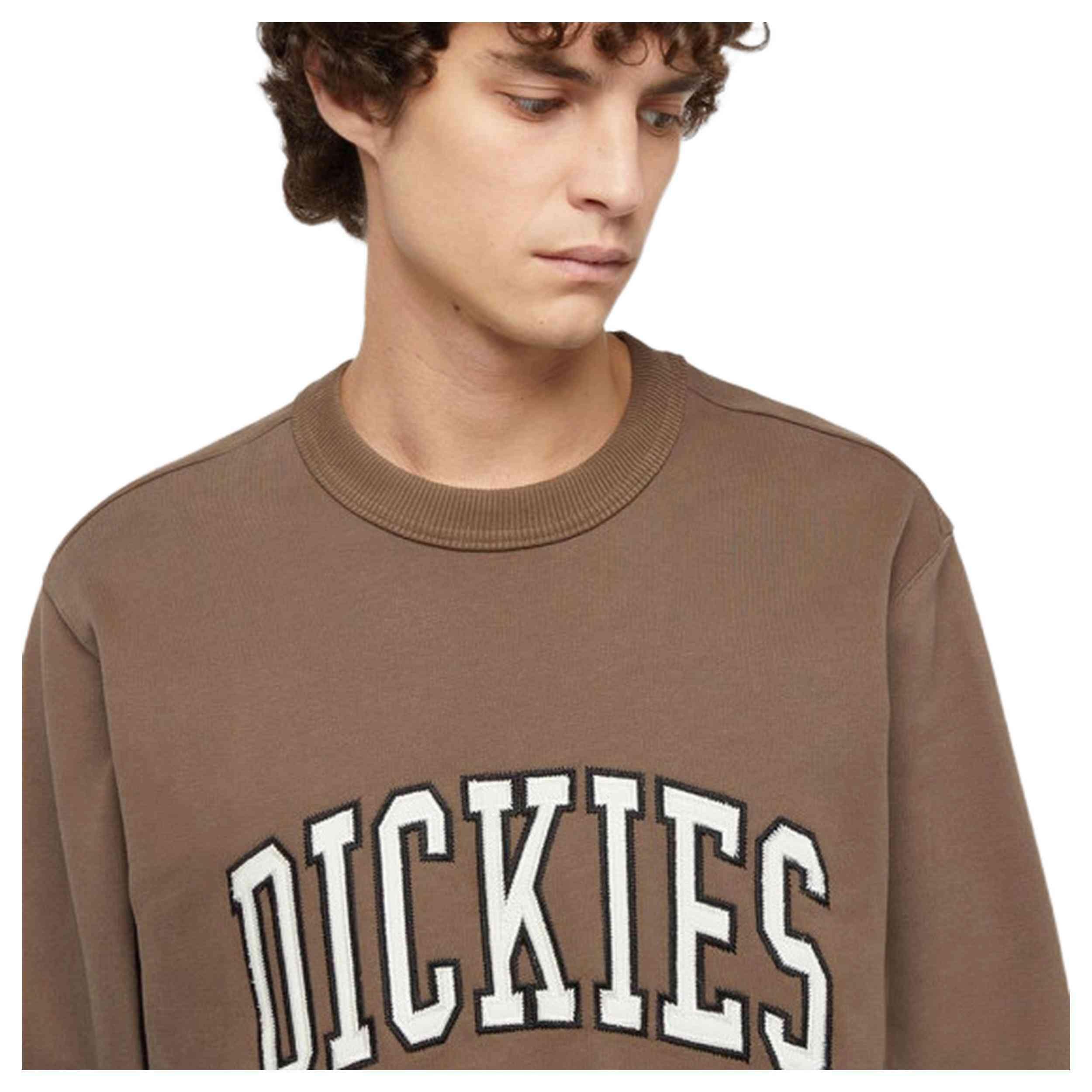 Sweat Dickies modèle DK0A4XABJ961 pour homme 4/4