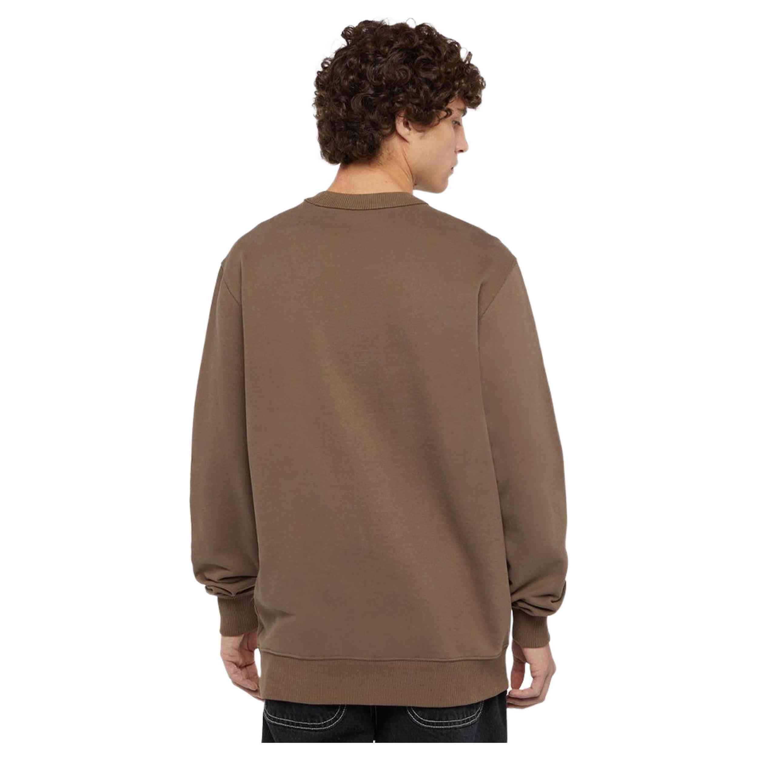 Sweat Dickies modèle DK0A4XABJ961 pour homme 2/4