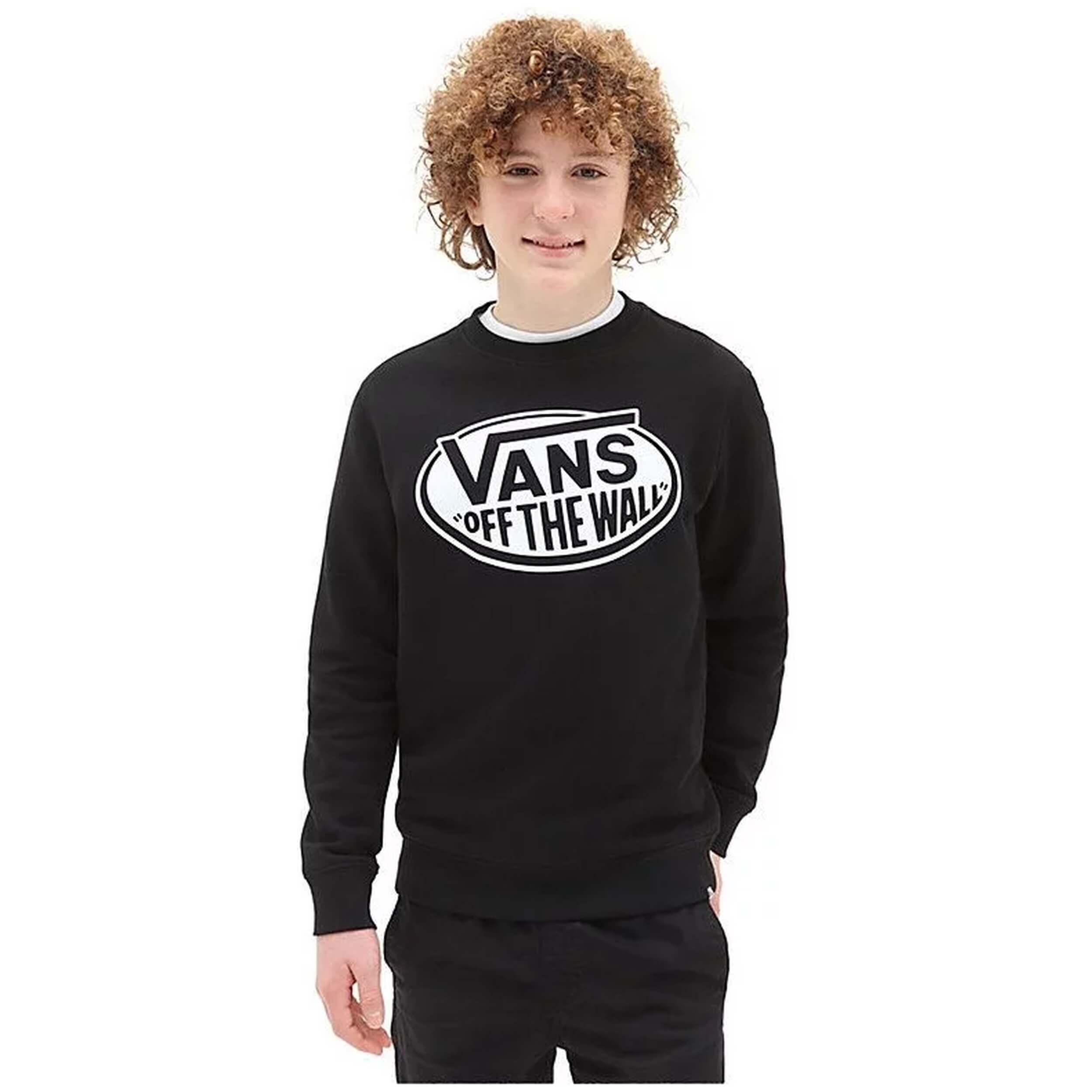 VANS picture
