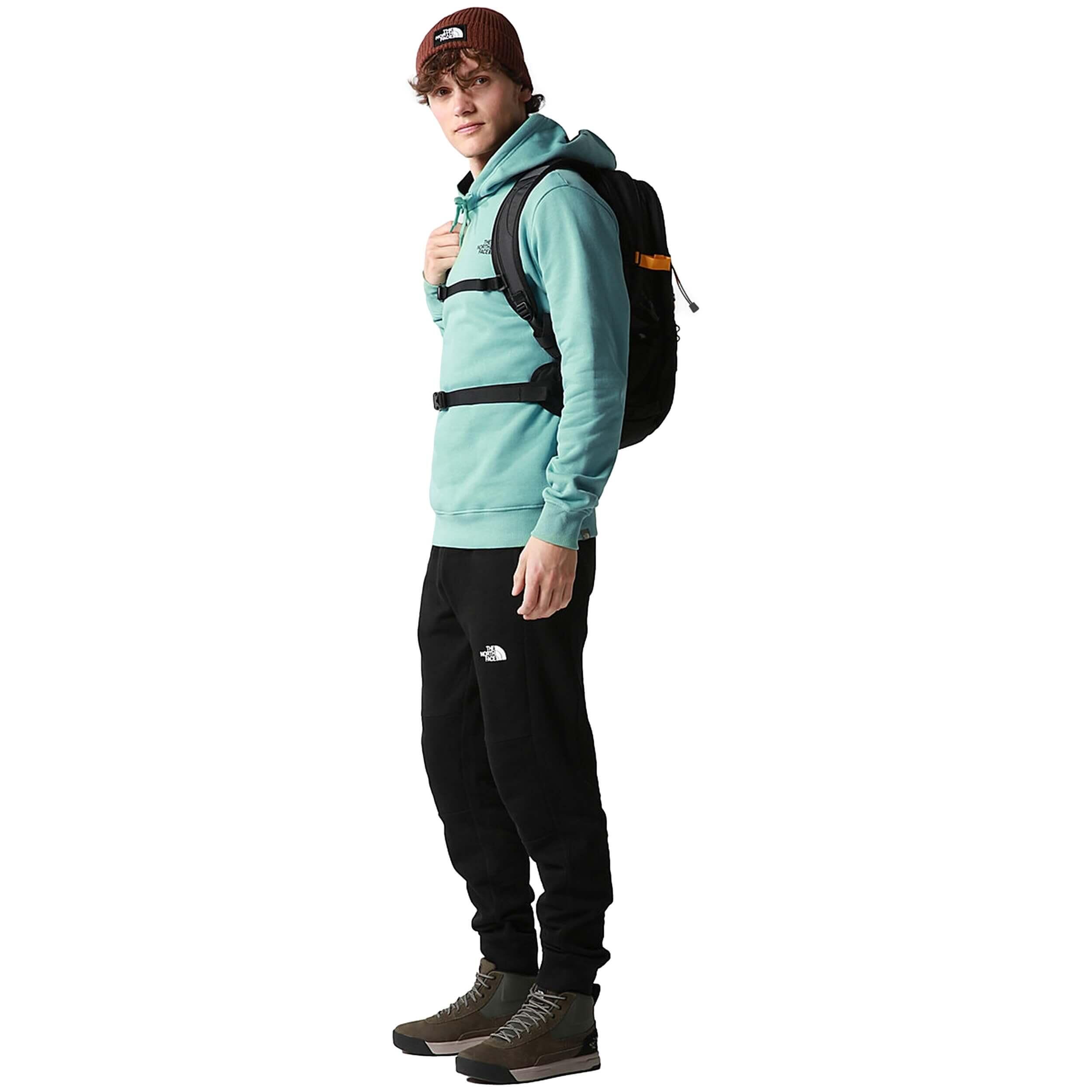 Sweat à capuche The north face modèle NF0A2TUV6R71 pour homme 2/7
