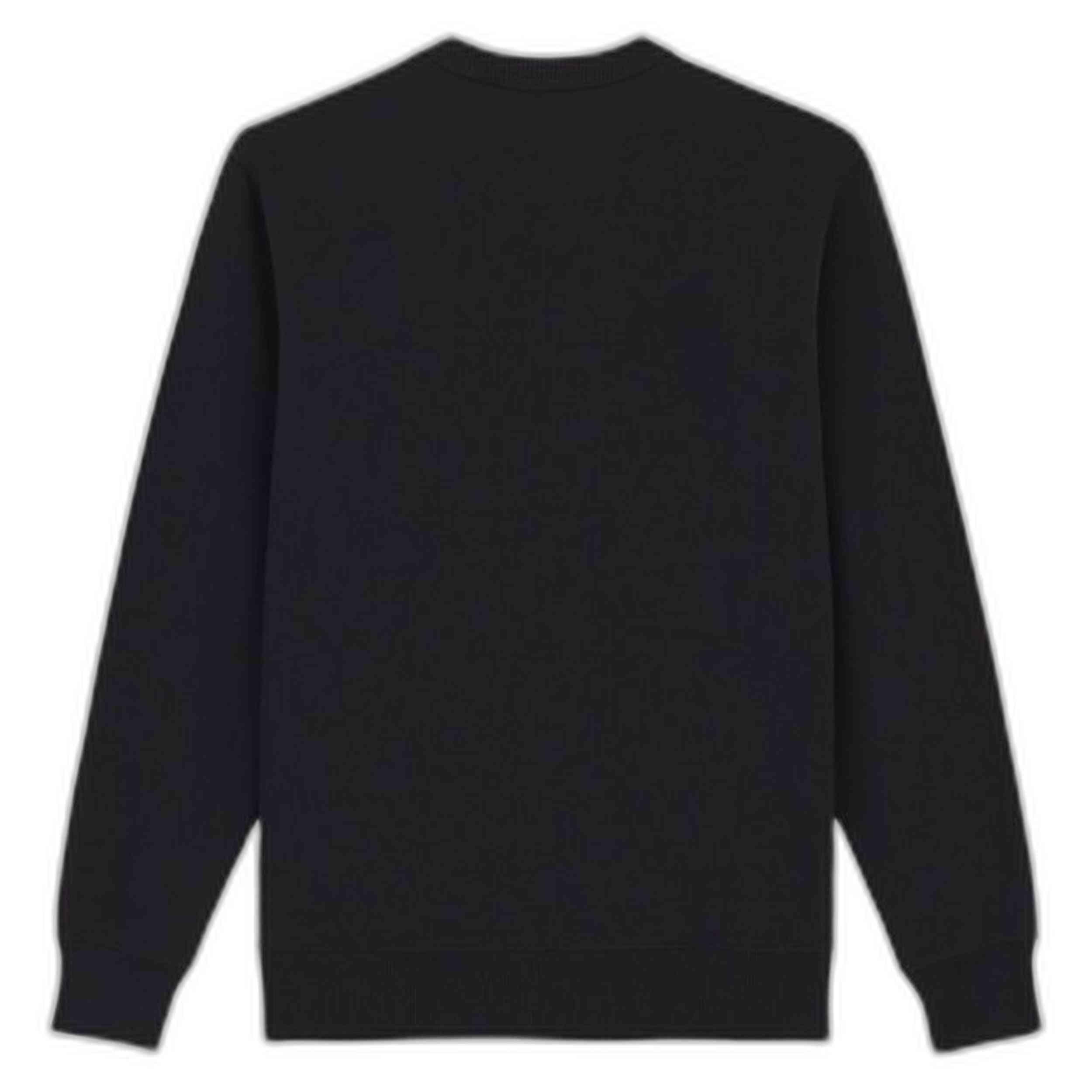 Felpa Dickies modello DK0A4XABJ941 per uomini 2/5