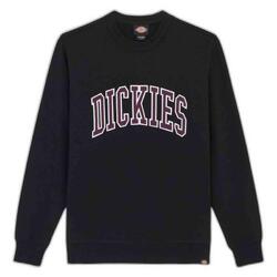 Sweat Dickies modèle DK0A4XABJ941 pour homme