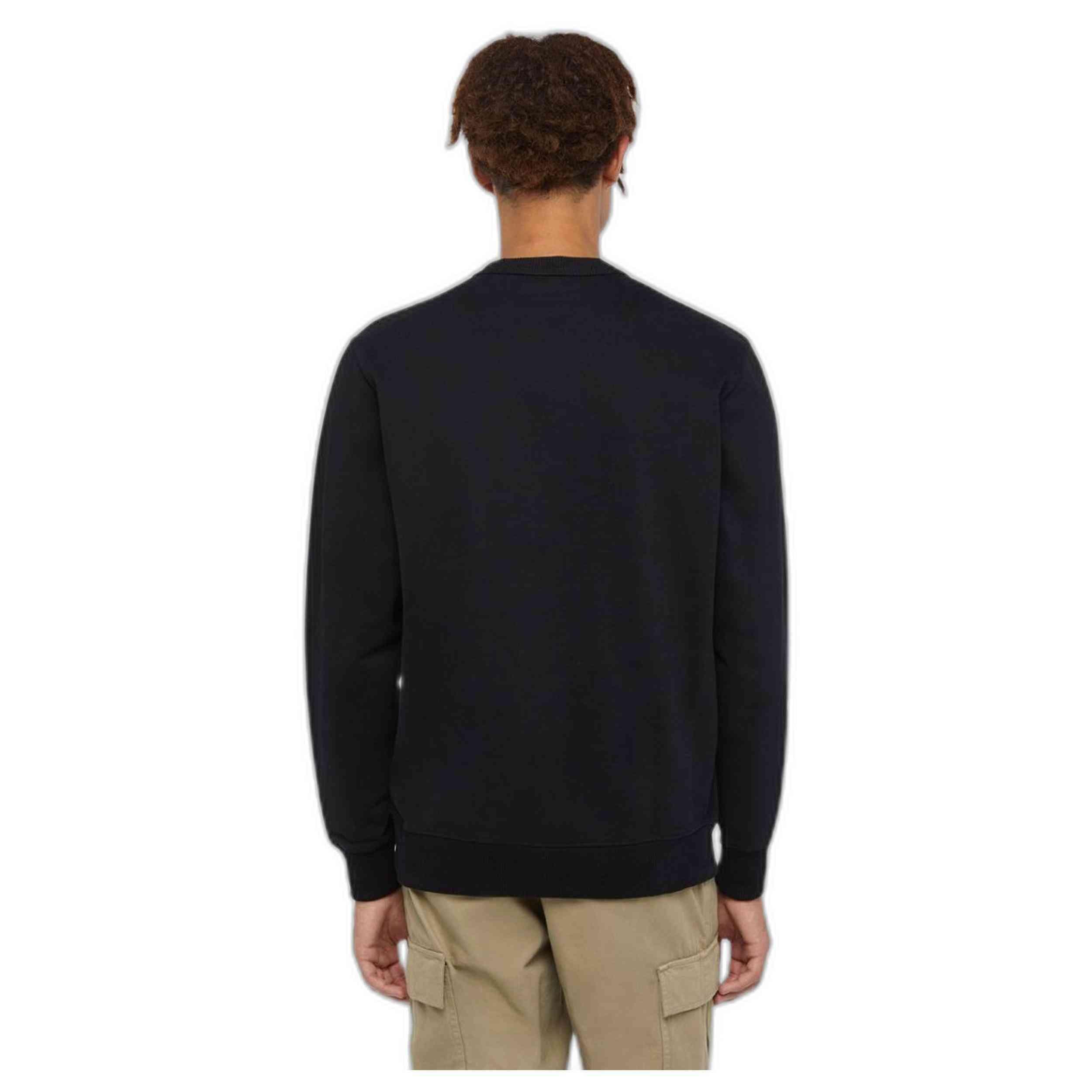 Felpa Dickies modello DK0A4XABJ941 per uomini 4/5