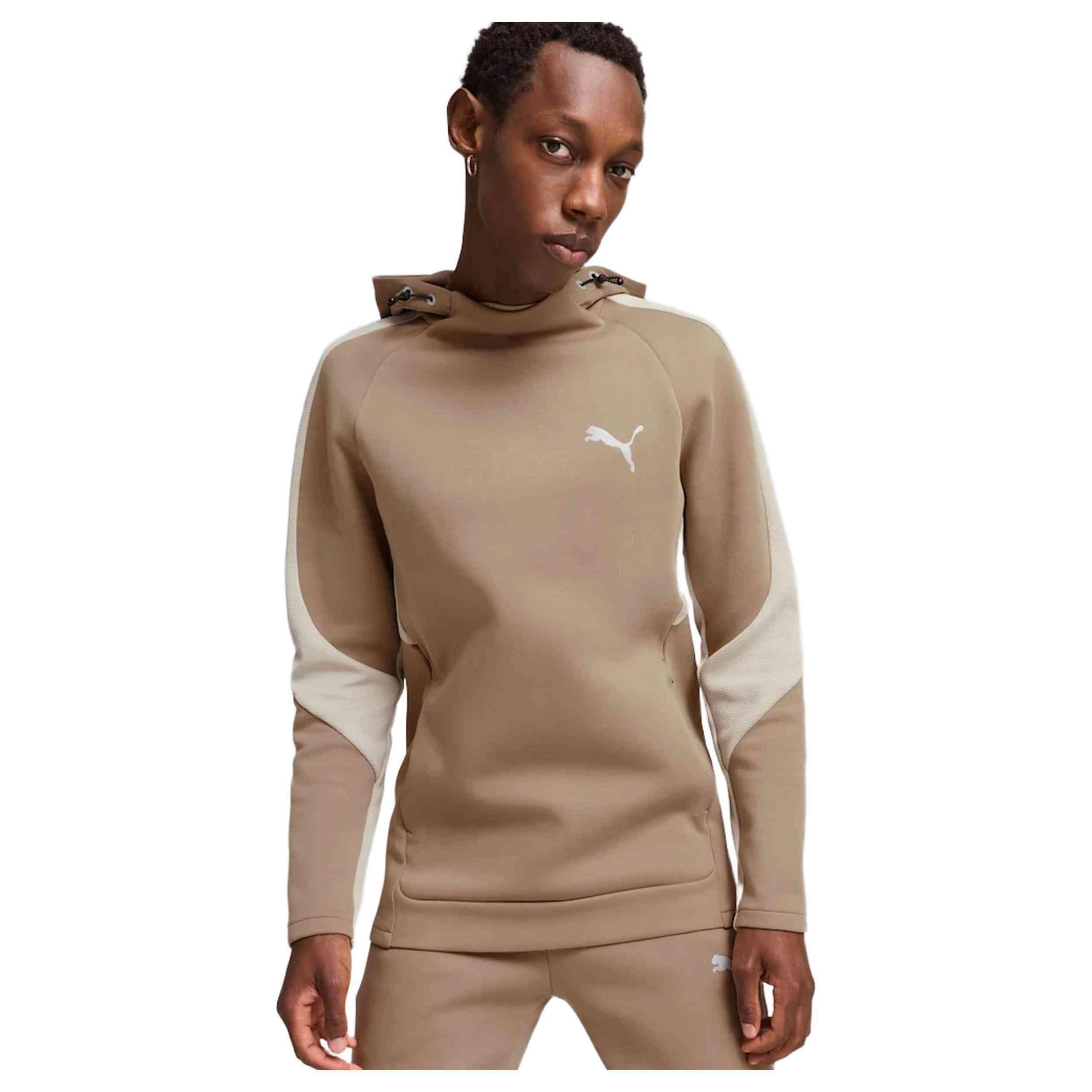Sweat à capuche Puma modèle 681699-67 pour homme 1/5