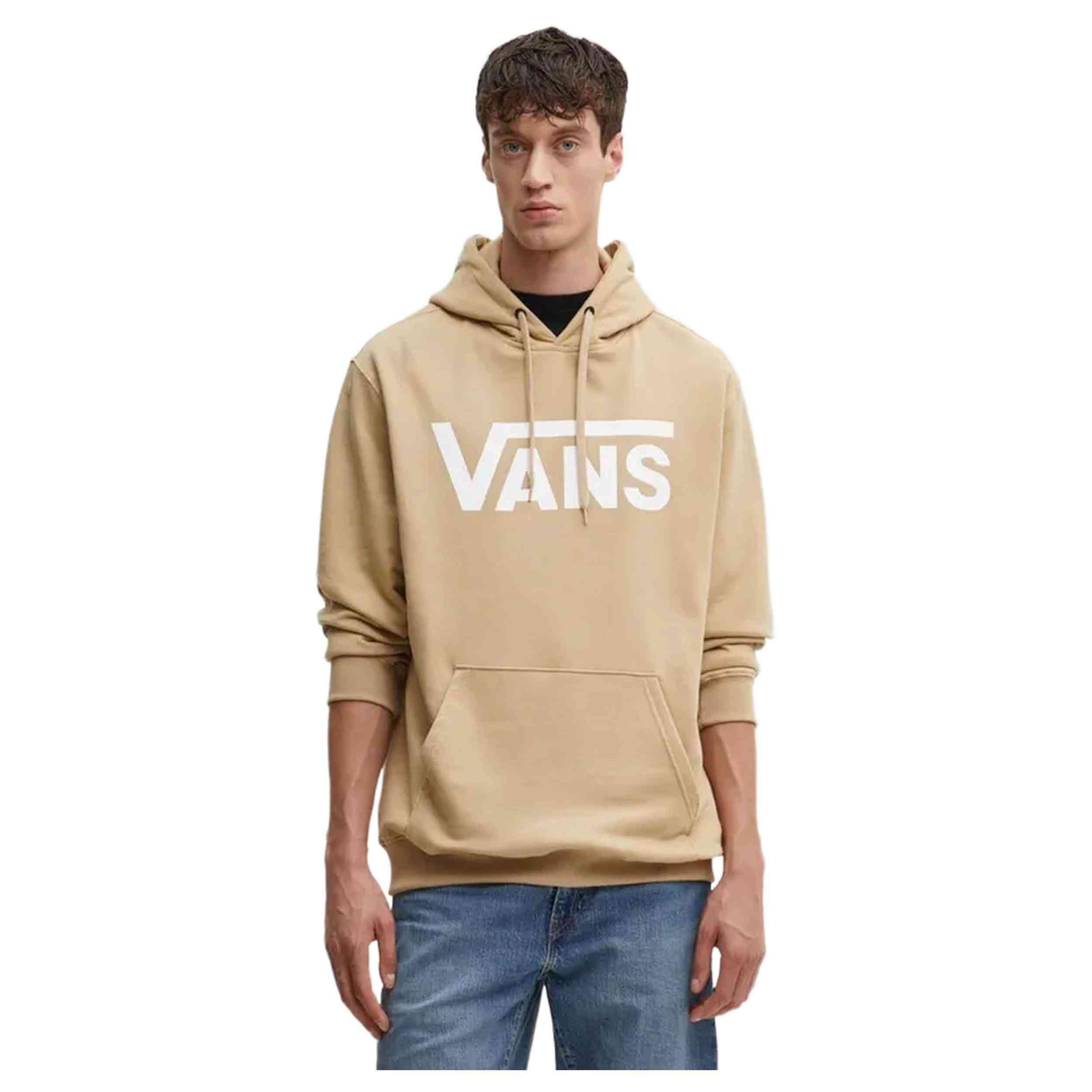 VANS picture