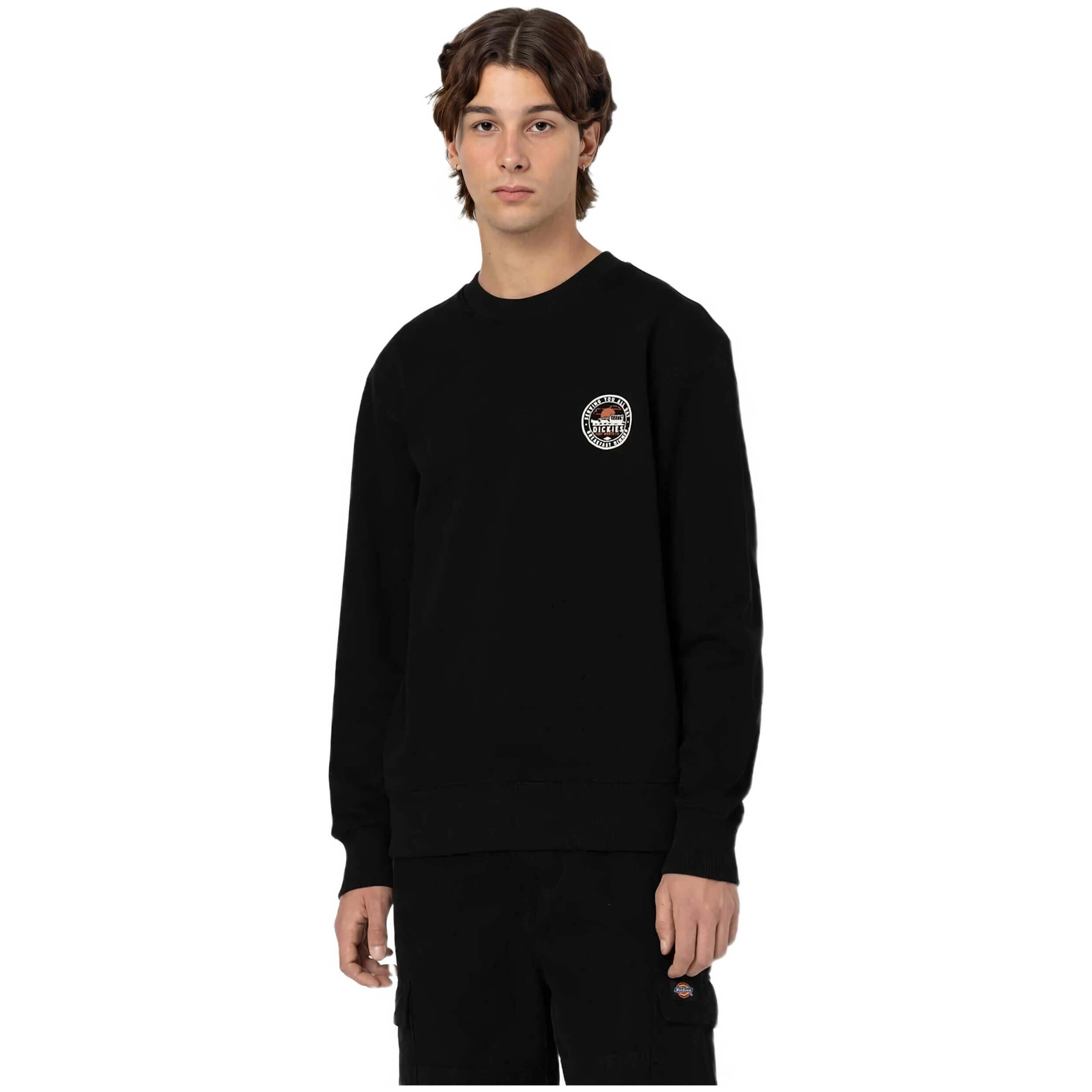 Felpa Dickies per uomini 3/5