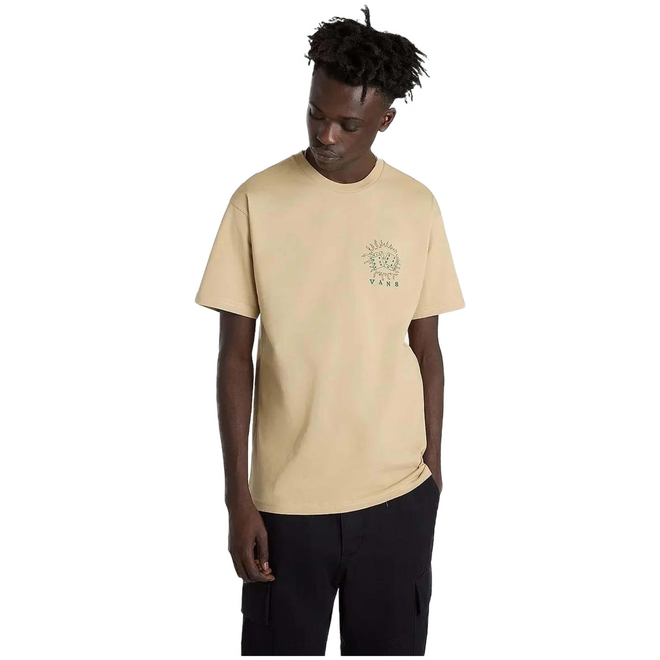 VANS picture