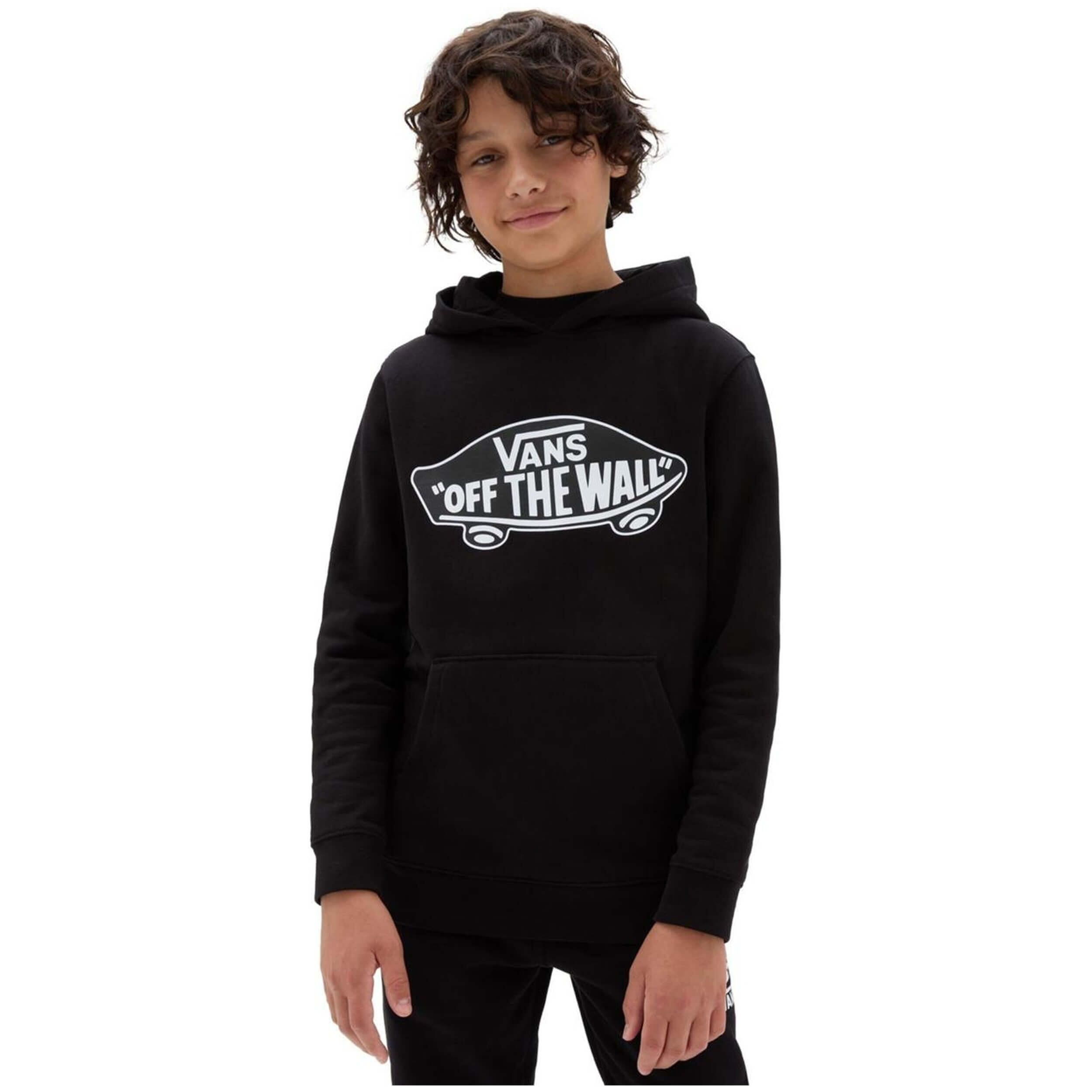 VANS picture