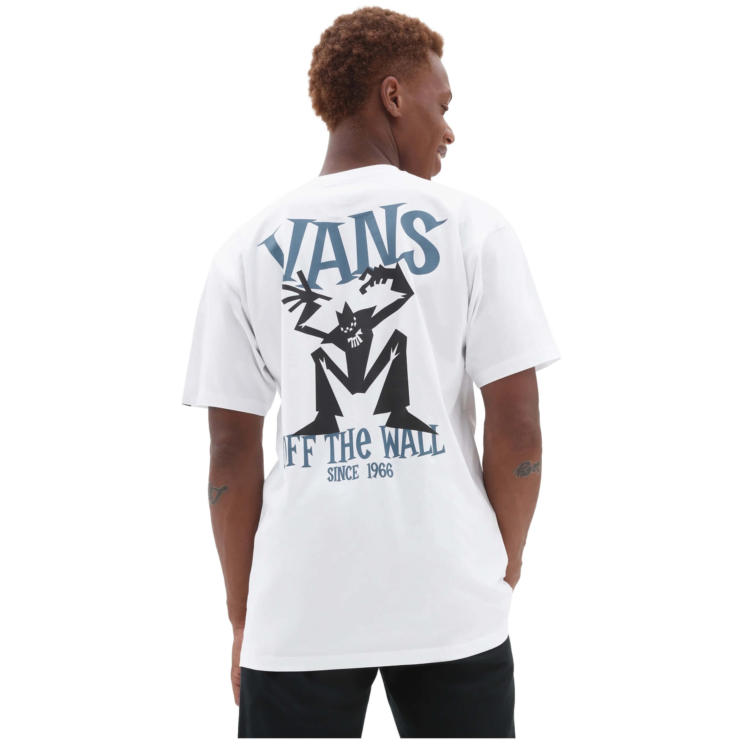 VANS picture