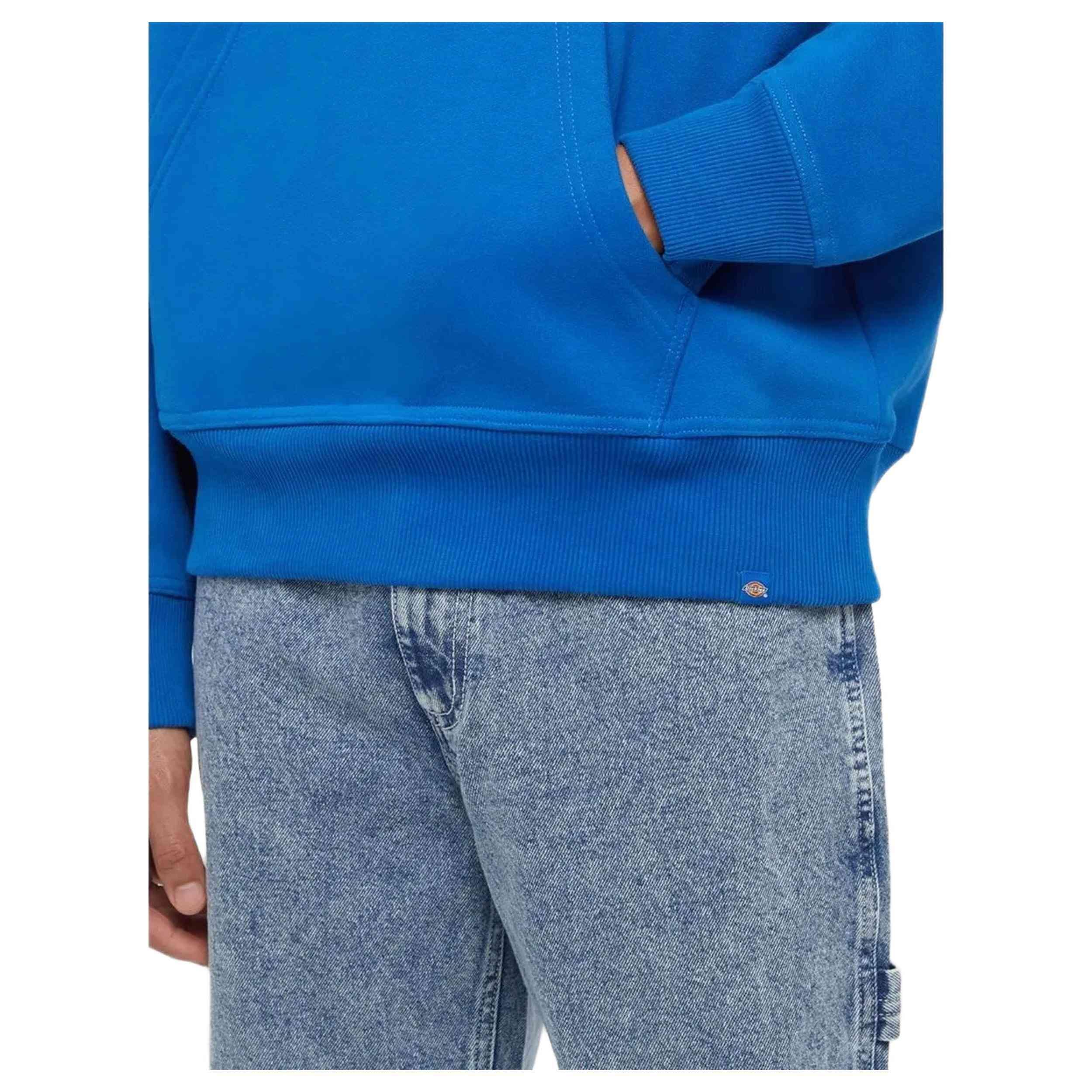 Sweat à capuche Dickies modèle DK0A4Z2NJ531 pour homme 4/4