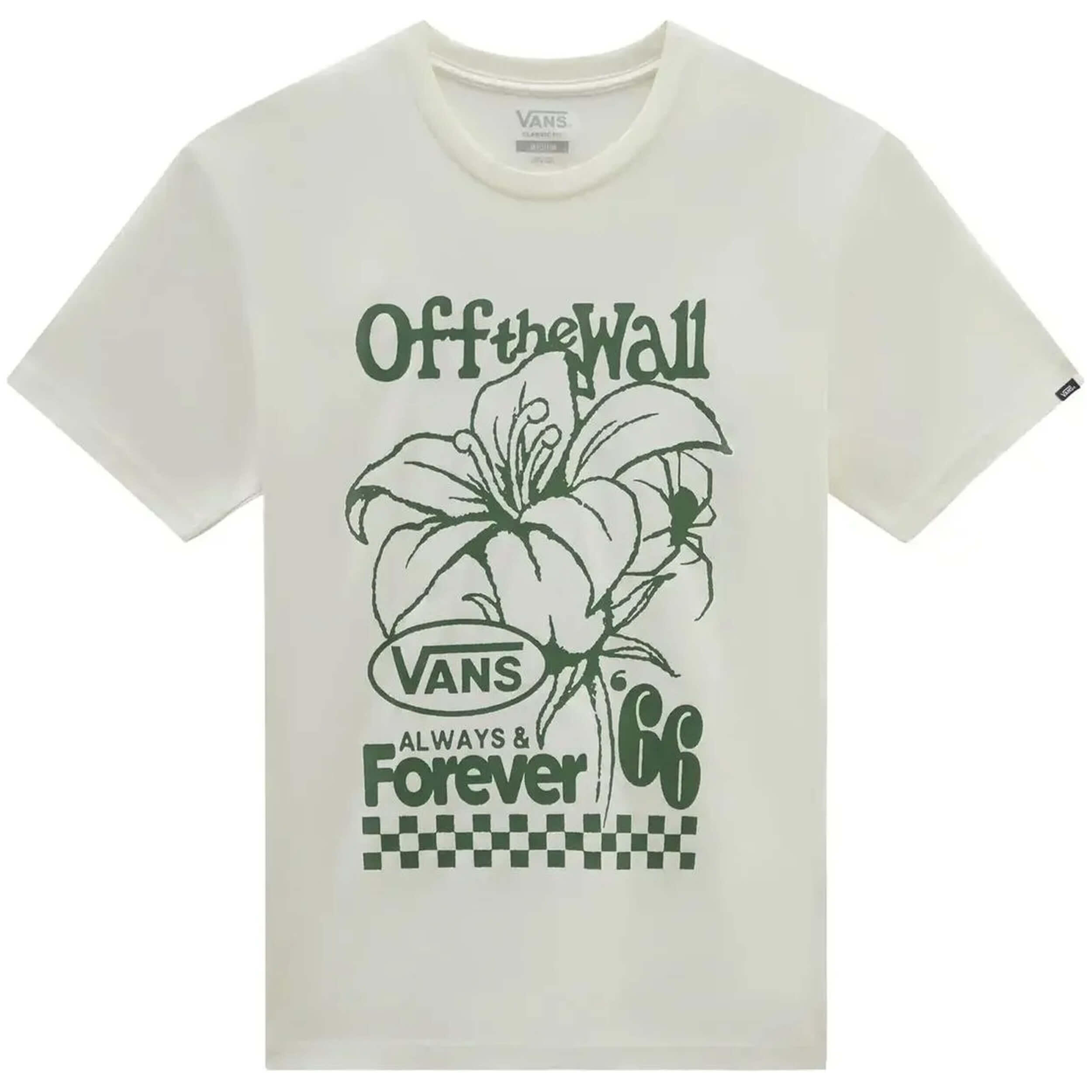 VANS picture