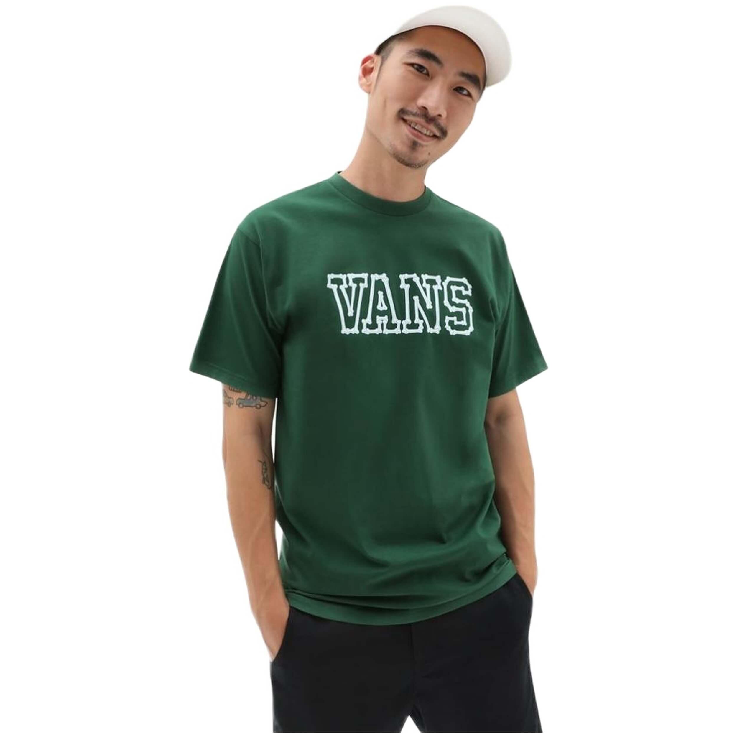 VANS picture