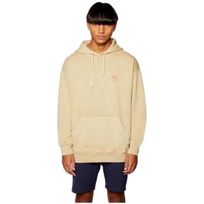 Hoodie revolution seasonal voor mannen