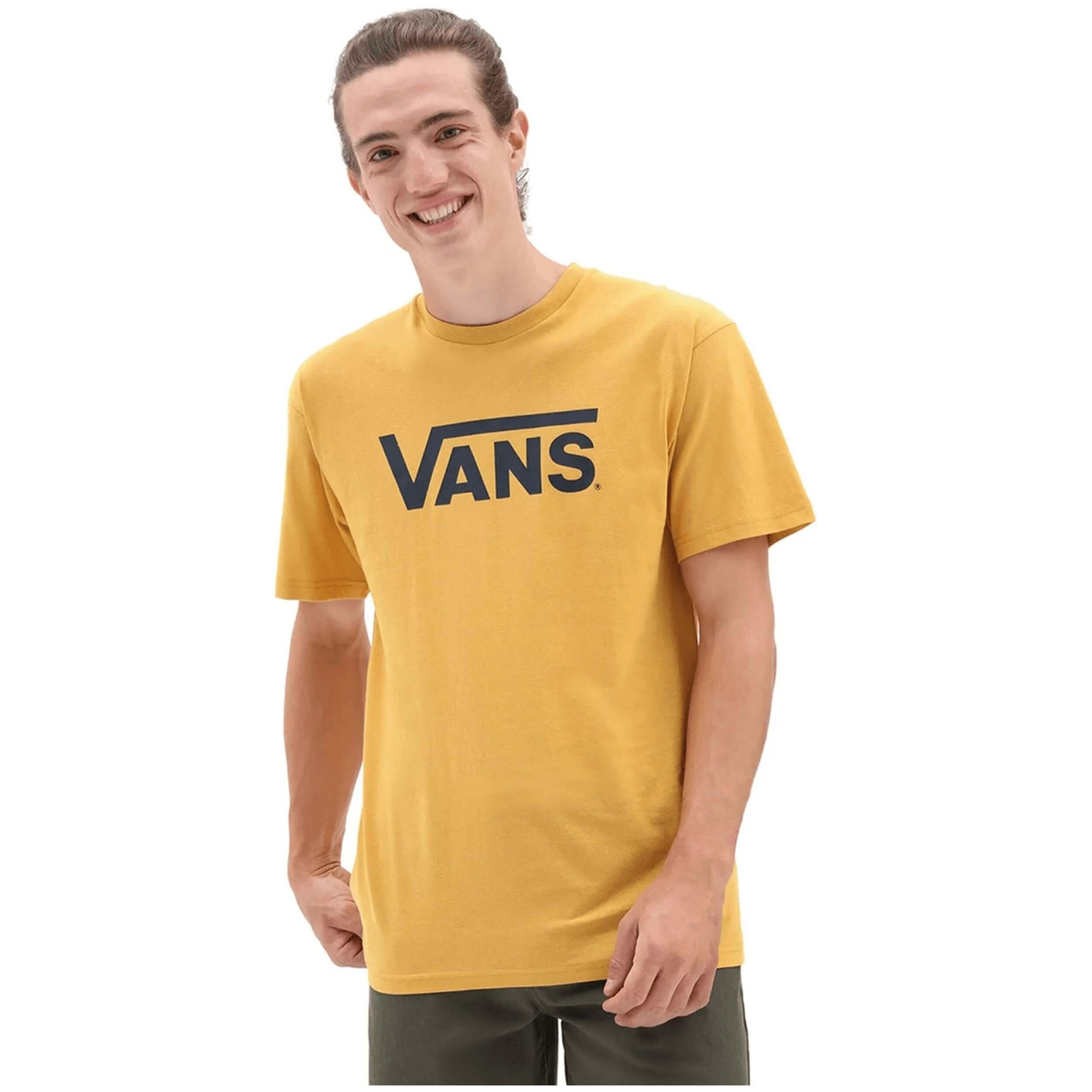 VANS picture
