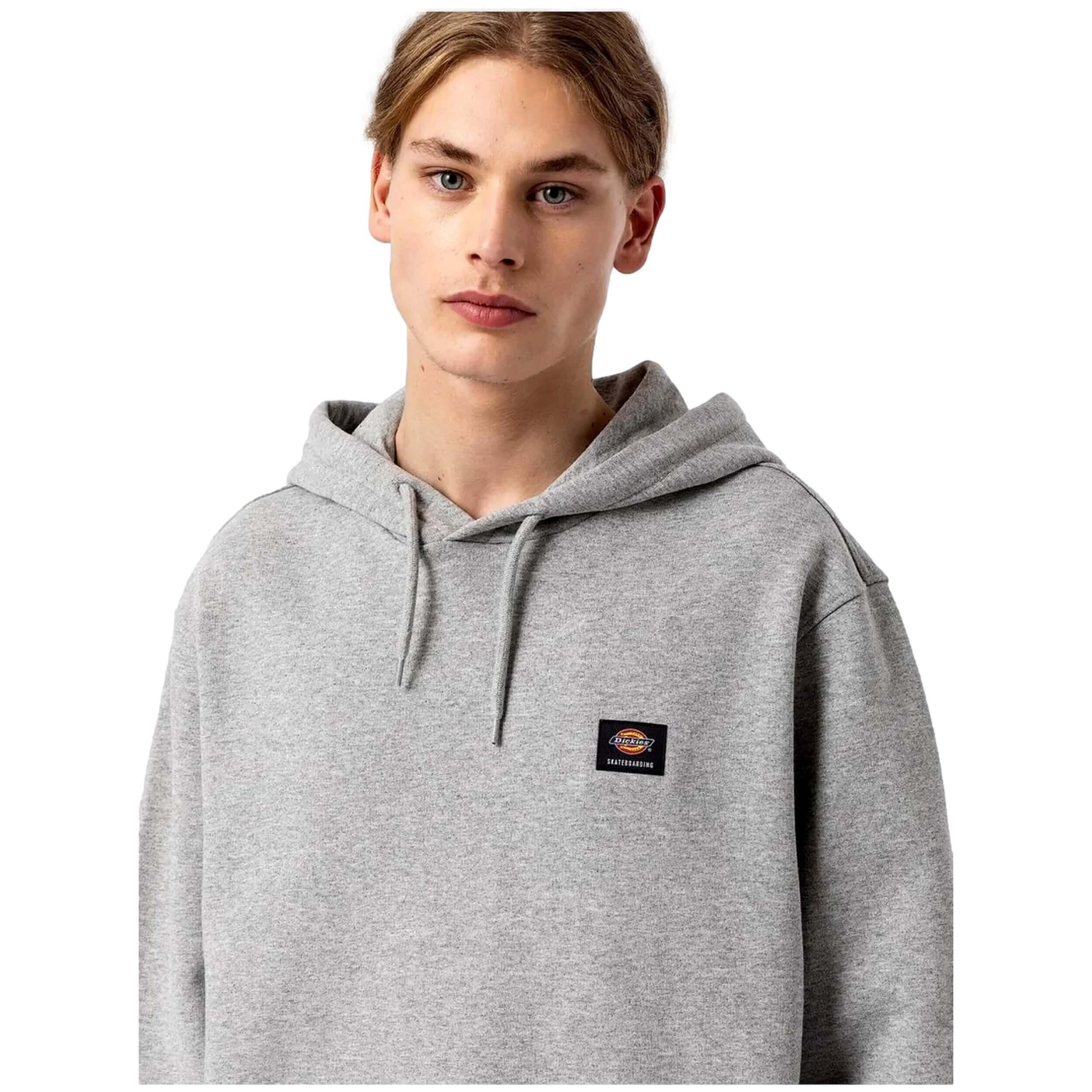 Felpa con cappuccio Dickies Mount Vista per uomini 4/4