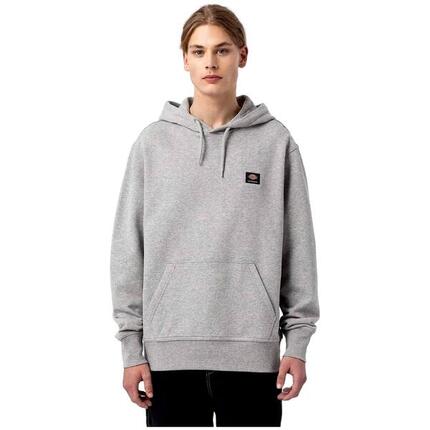 Sweat à capuche Dickies Mount Vista pour homme