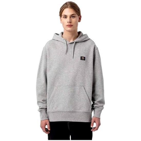 Sweat à capuche Dickies Mount Vista pour homme
