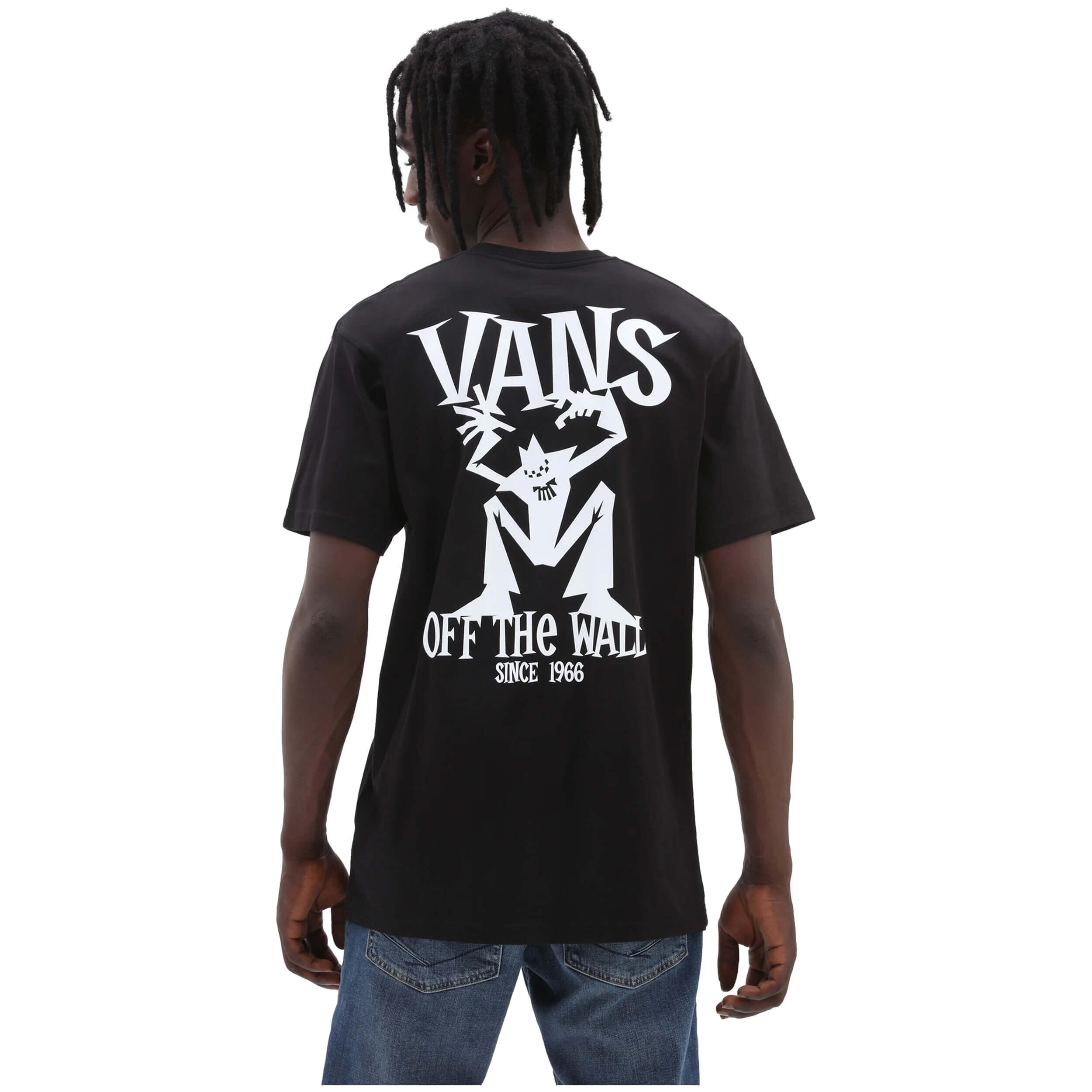 VANS picture