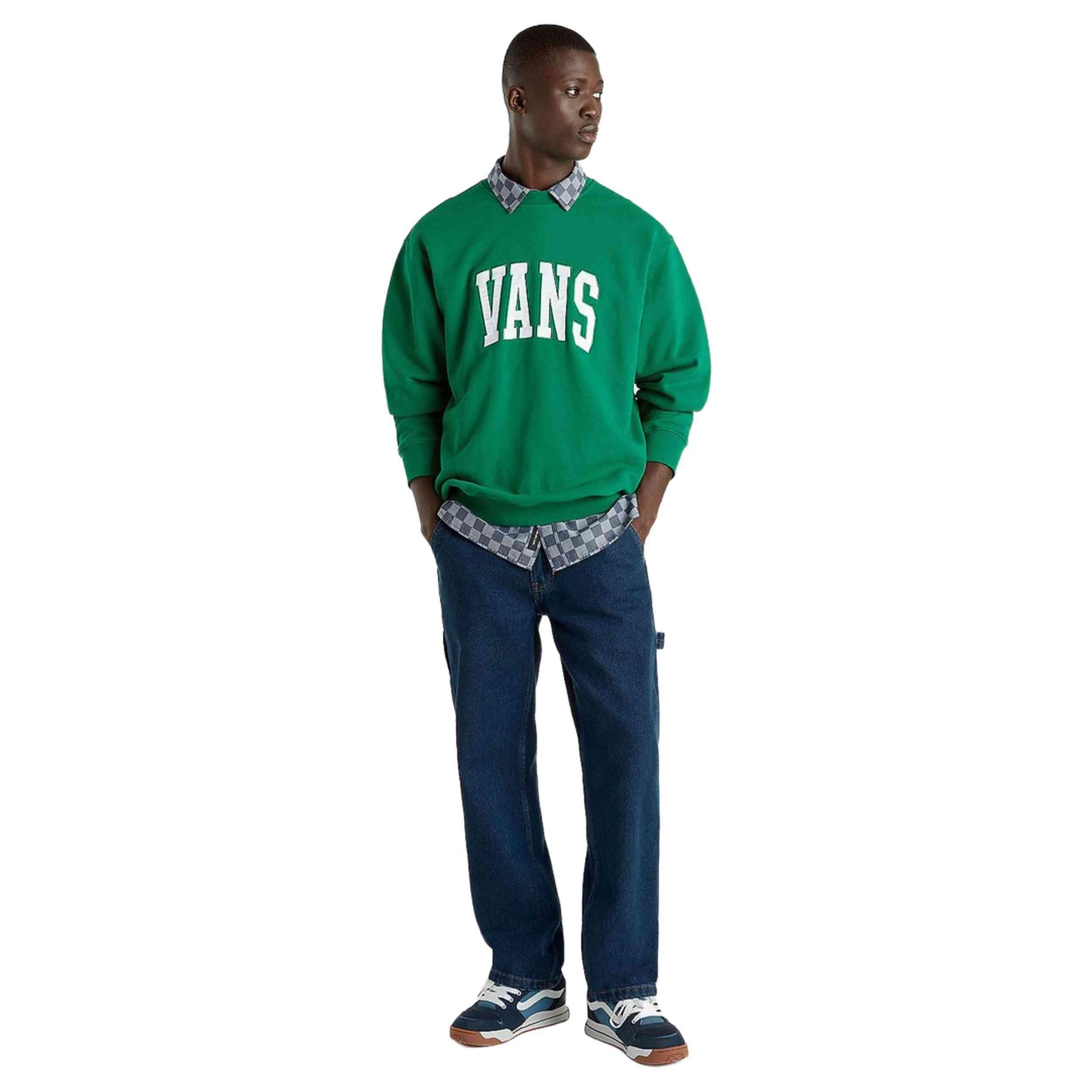 VANS picture