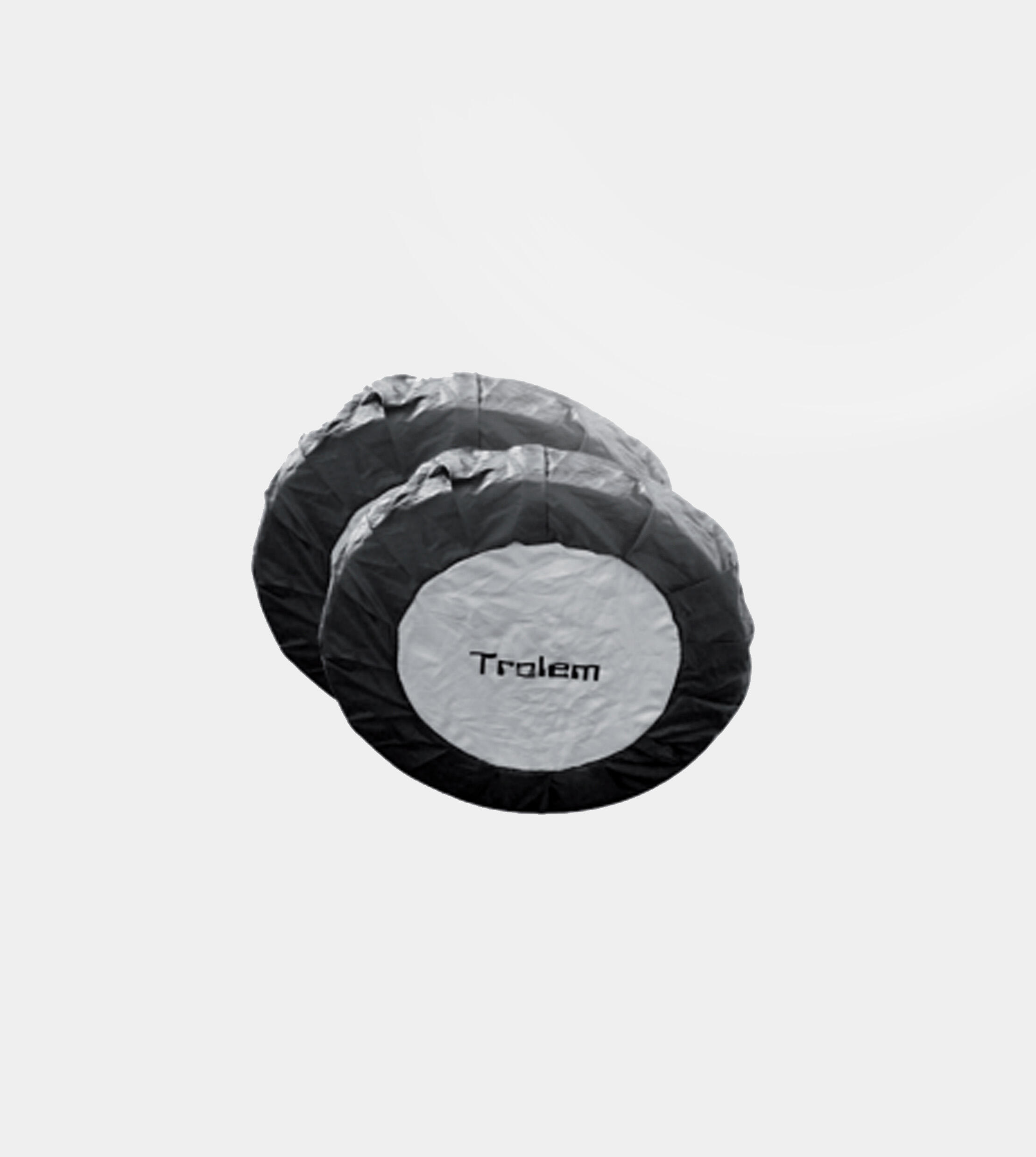 TROLEM picture