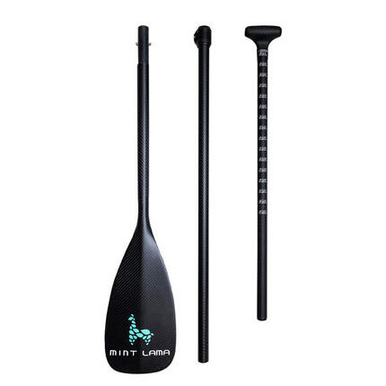 100% Carbon Paddle