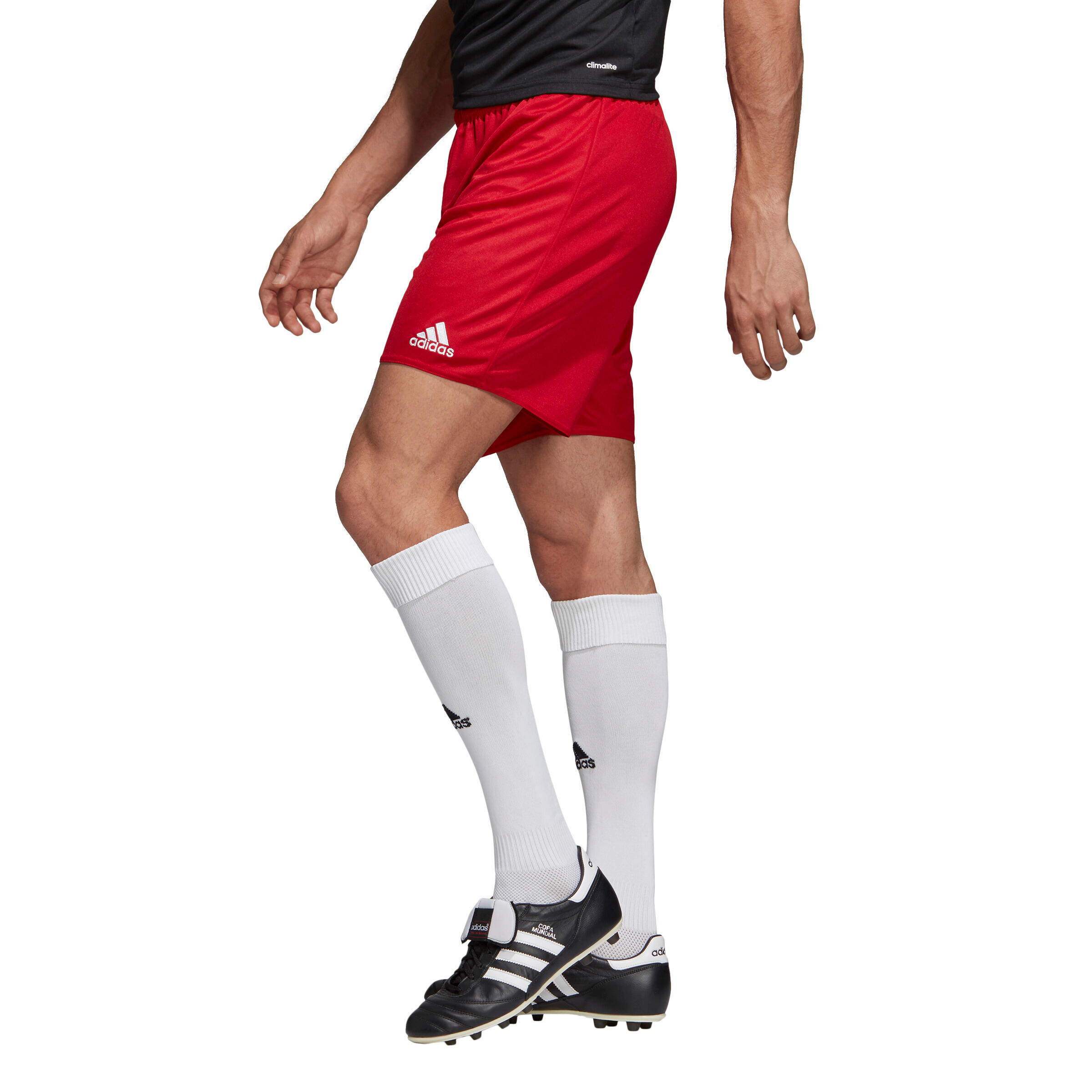Shorts adidas Performance Parma 16, Rouge, Hommes 5/5