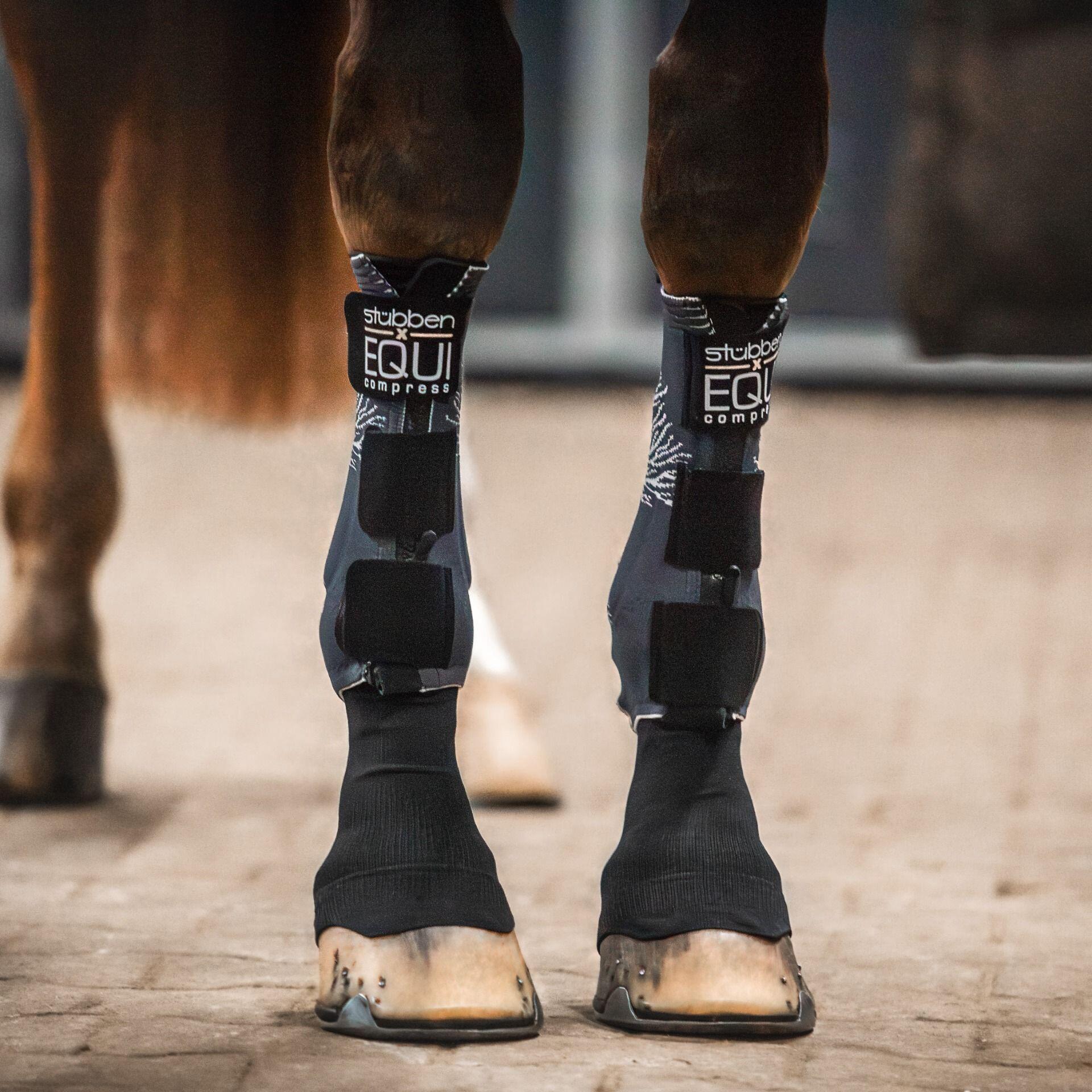 Guanti anteriori per cavallo con calze Stübben EQUI Compress 2/3