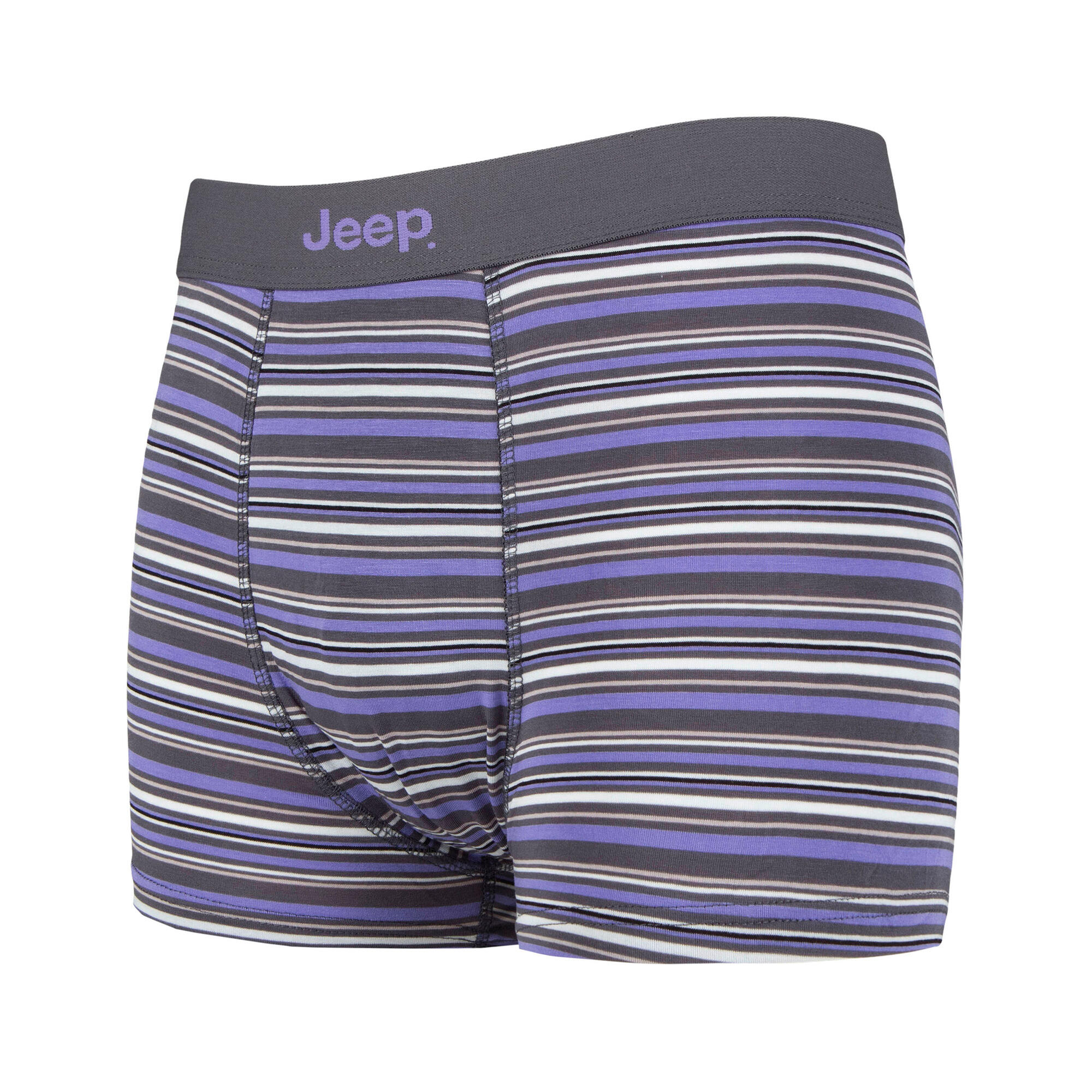 2 Pack Mens Soft Bamboo Fibres Comfortable Fitted Trunks 4/4