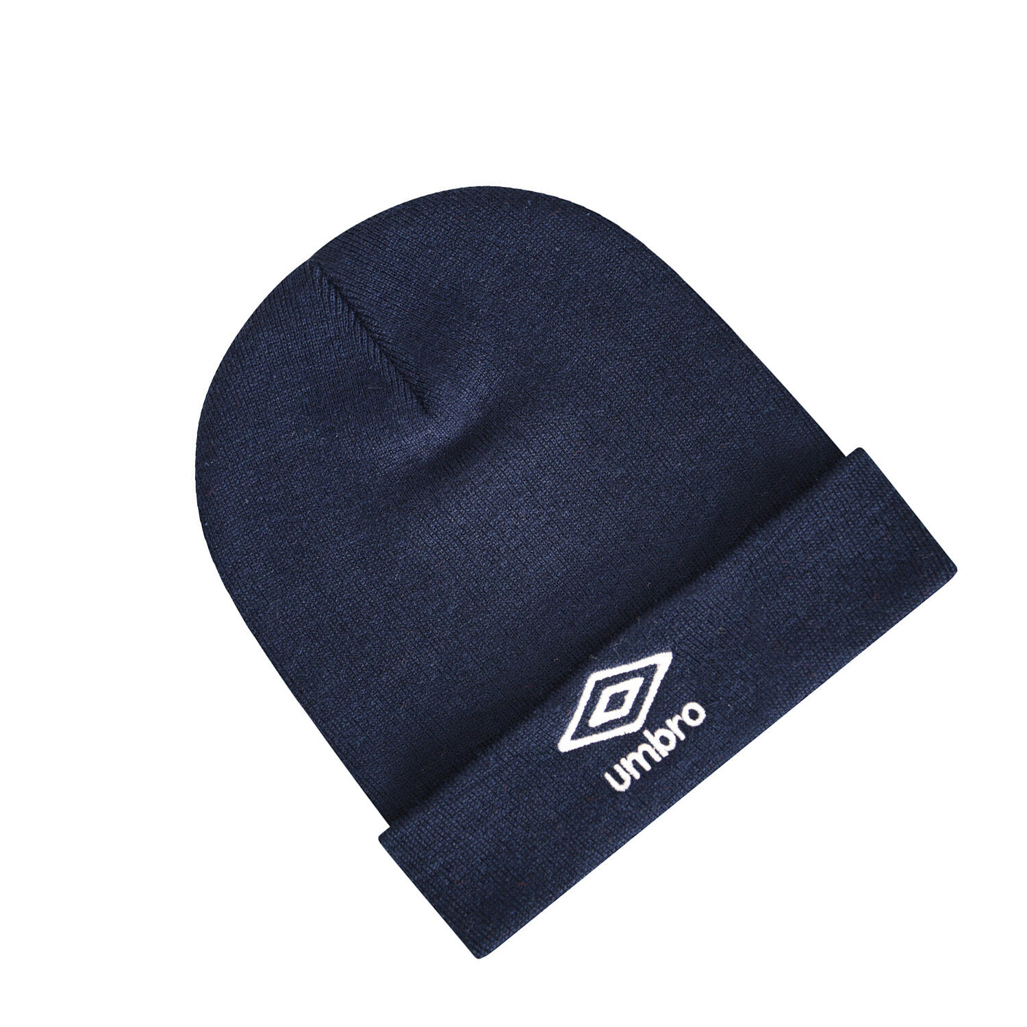 Logo Beanie (Navy) 2/2